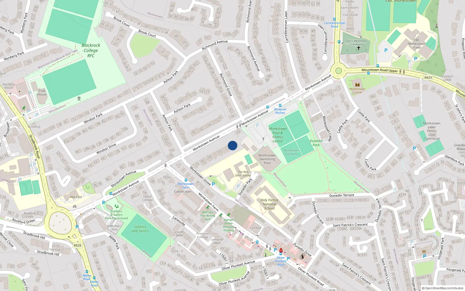 Overhead map showing the location of 22 Monkstown Avenue, Monkstown