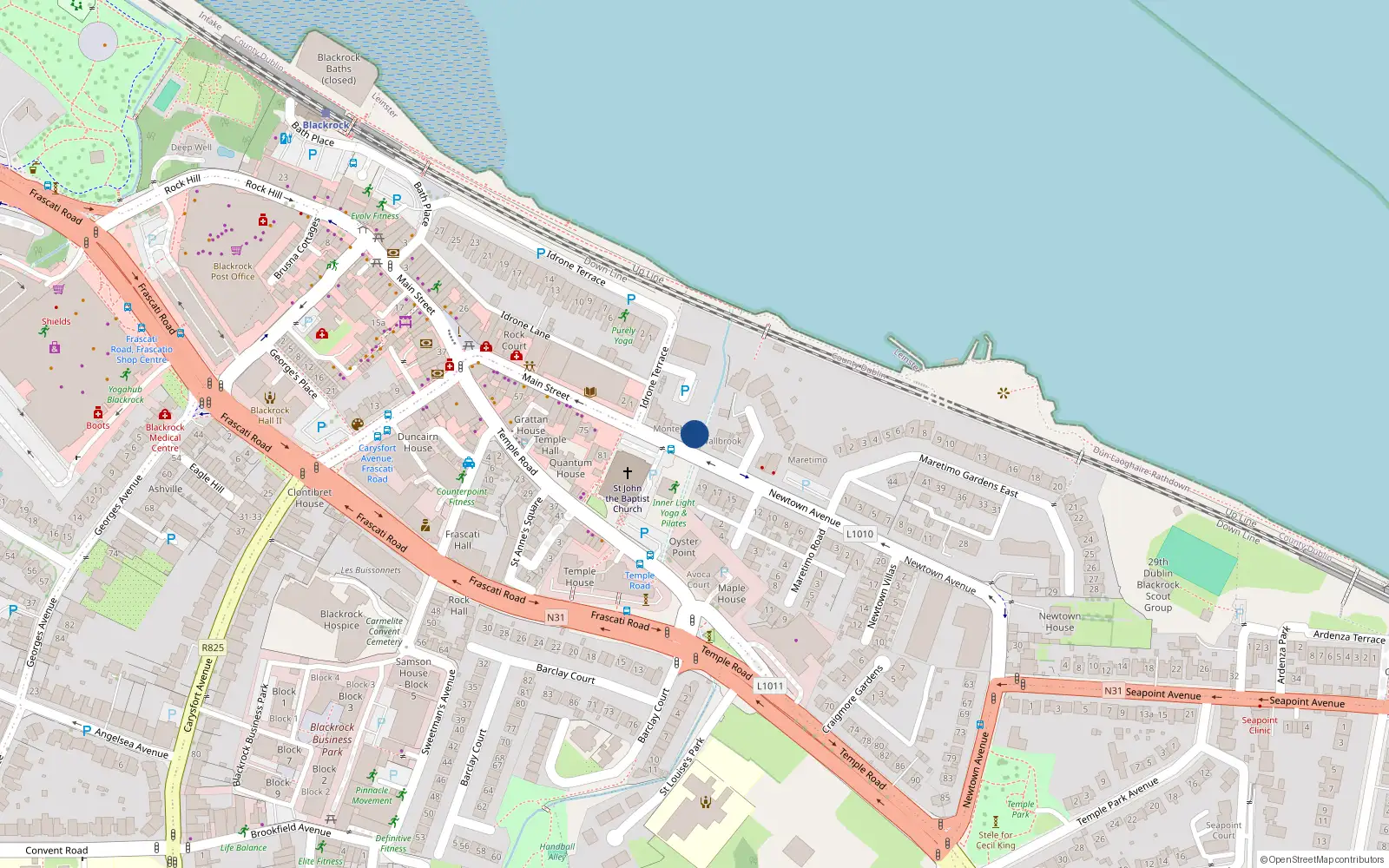 Overhead map showing the location of 22 Newtown Avenue, Blackrock