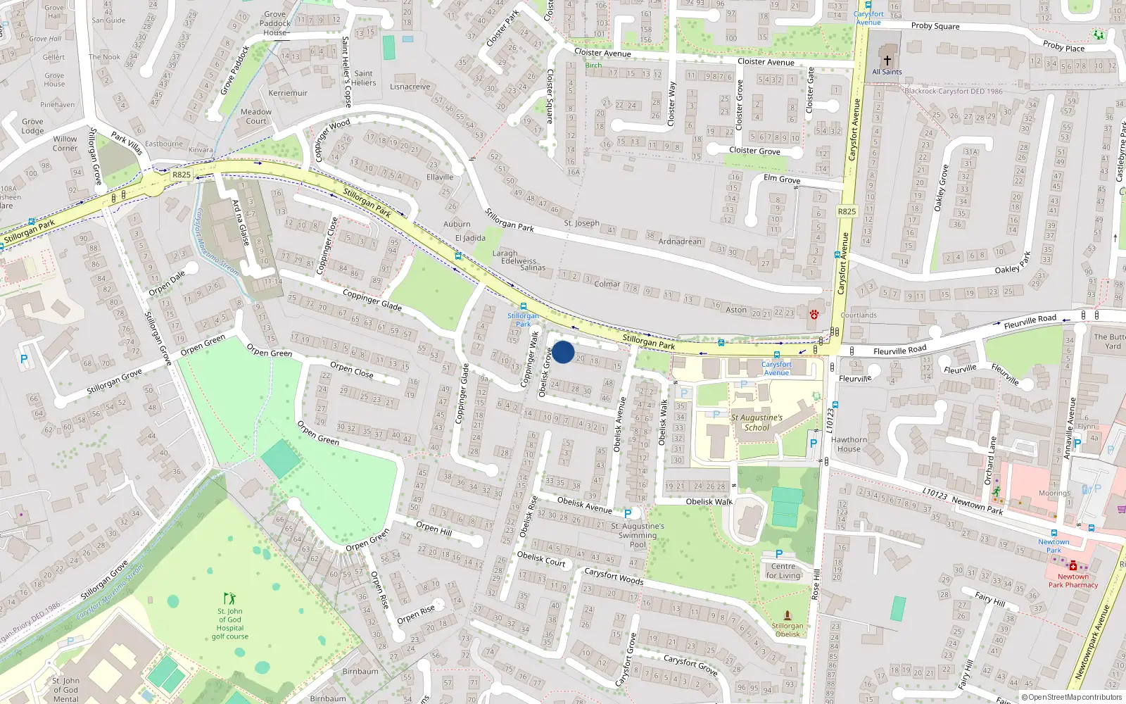 Overhead map showing the location of 22 Obelisk Grove, Blackrock