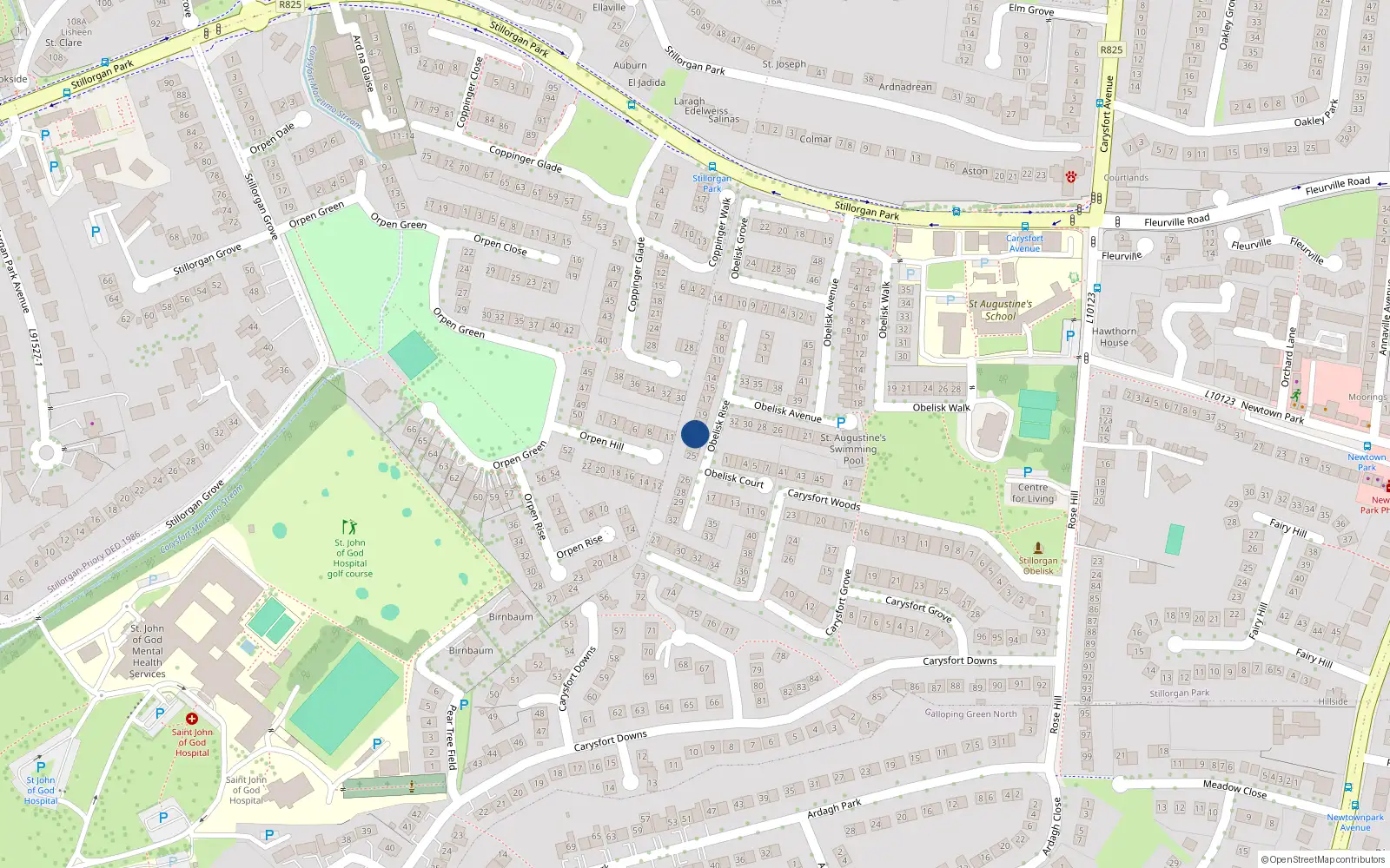 Overhead map showing the location of 22 Obelisk Rise, St Augustines Park, Blackrock