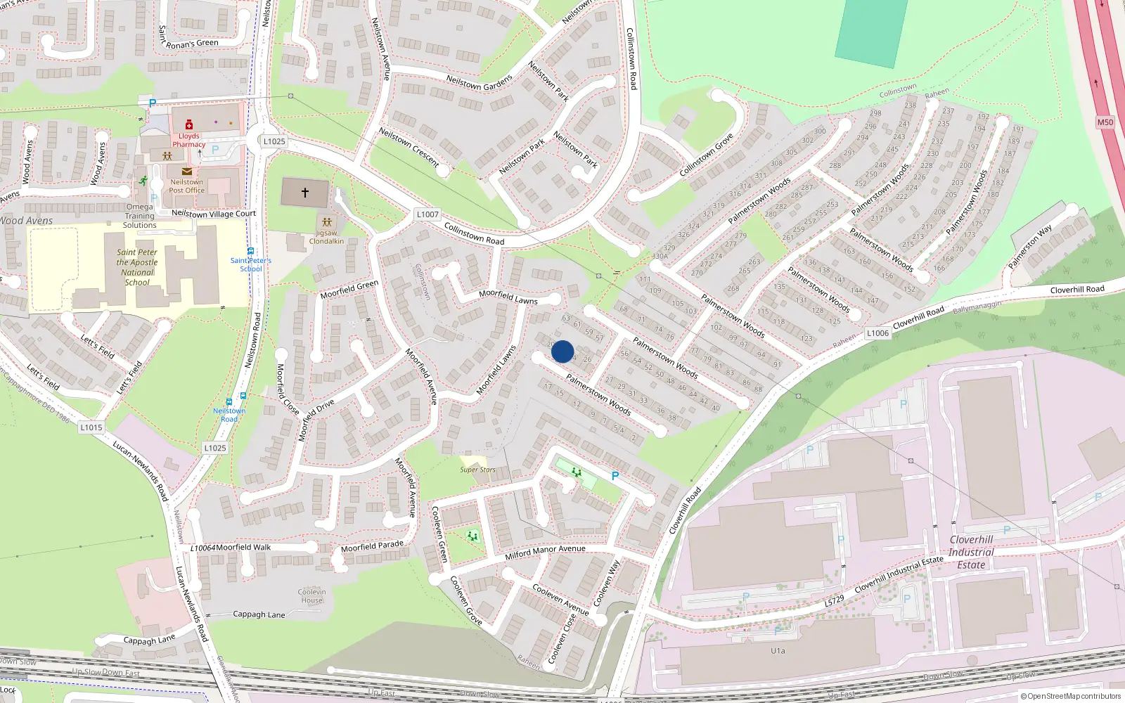 Overhead map showing the location of 22 Palmerstown Woods, Dublin