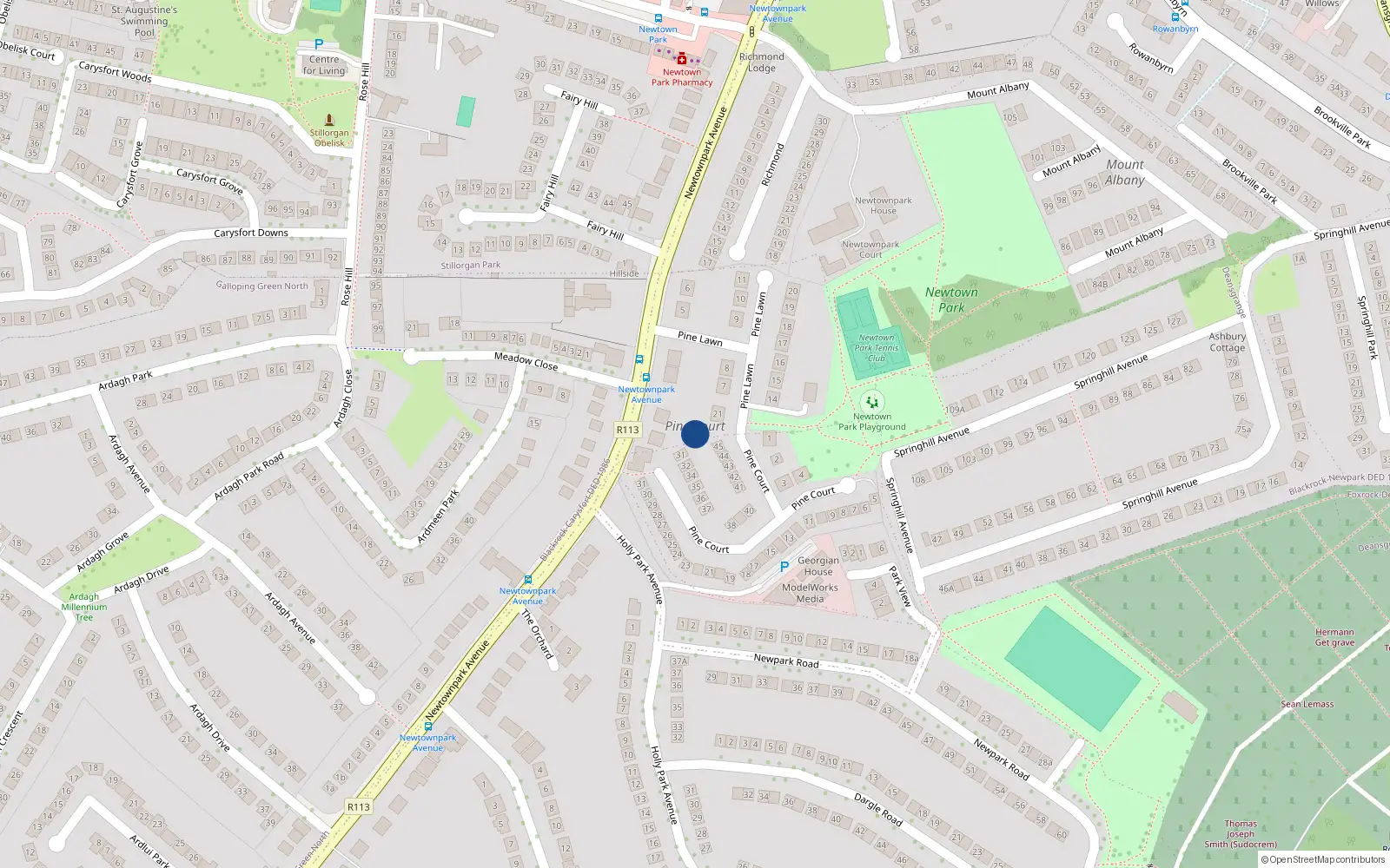 Overhead map showing the location of 22 Pine Lawn, Blackrock