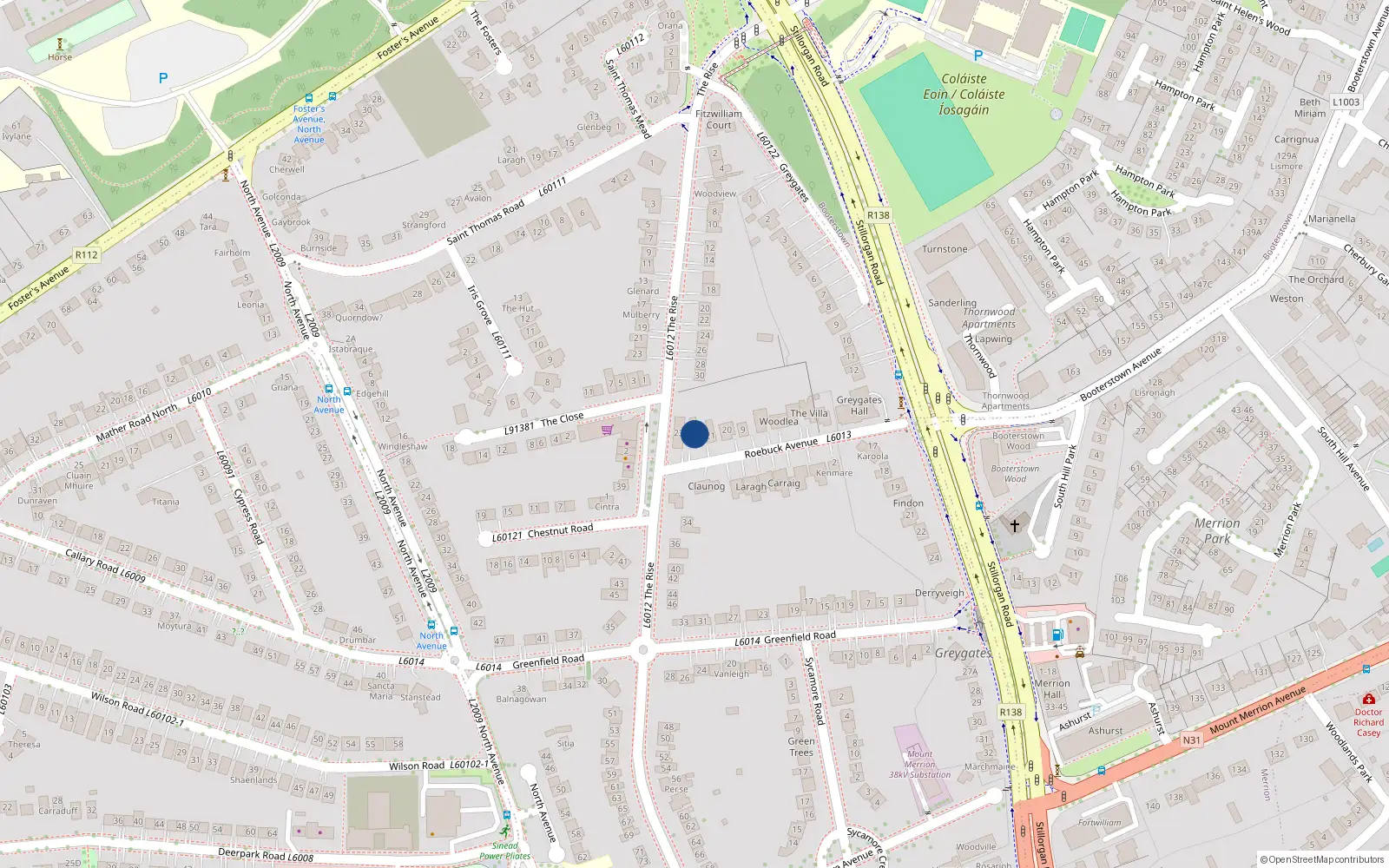 Overhead map showing the location of 22 Roebuck Avenue, Blackrock