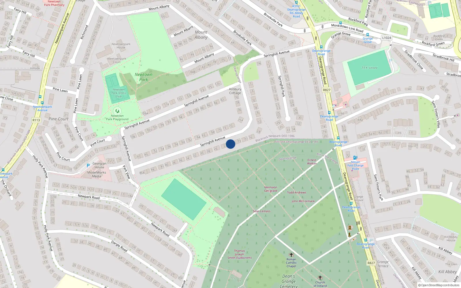 Overhead map showing the location of 22 Springhill Avenue, Blackrock