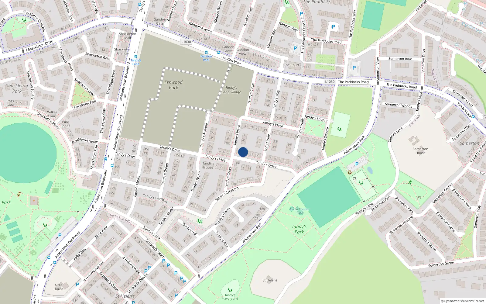 Overhead map showing the location of 22 Tandy's Drive, Lucan