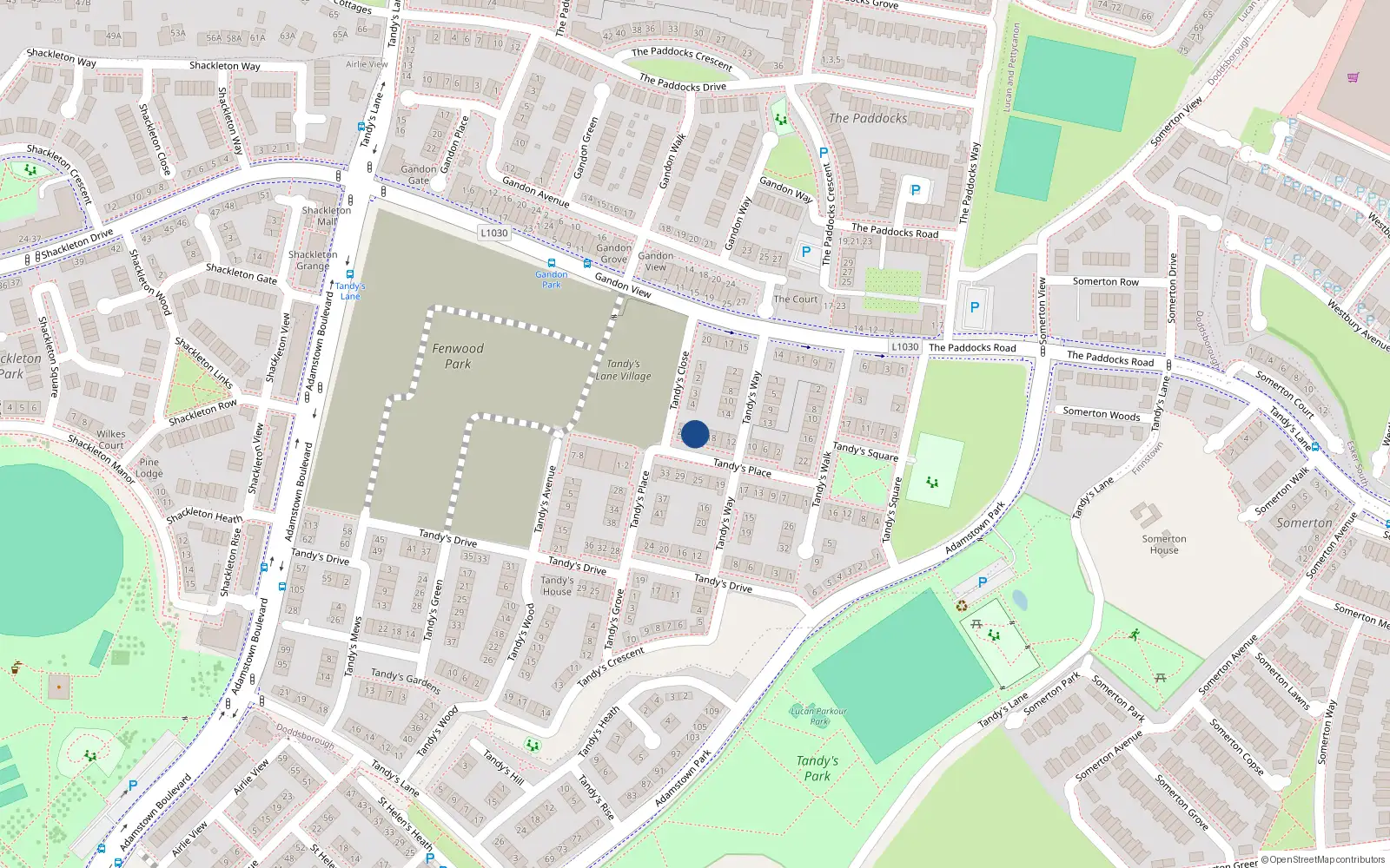 Overhead map showing the location of 22 Tandy's Place, Lucan