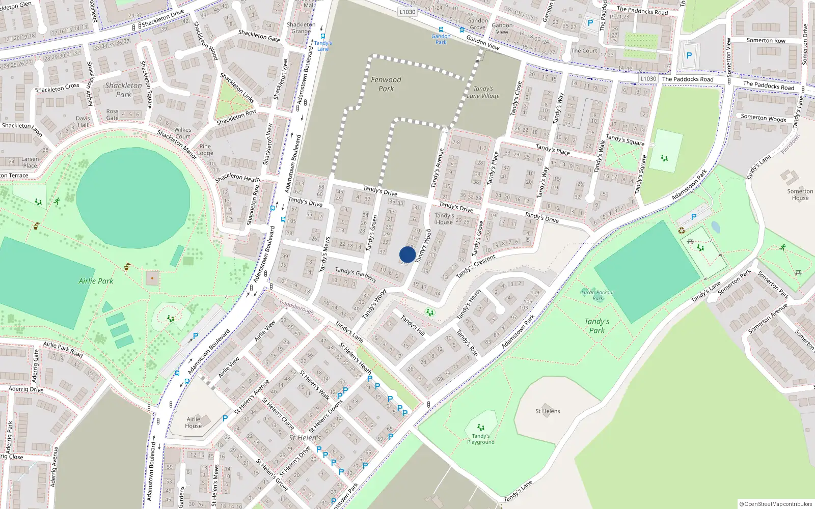 Overhead map showing the location of 22 Tandy's Wood, Lucan