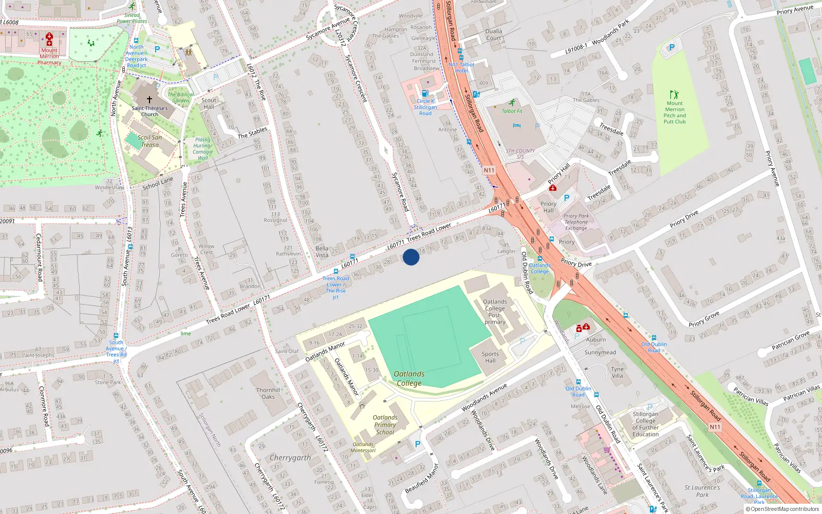 Overhead map showing the location of 22 Trees Road Lower, Blackrock
