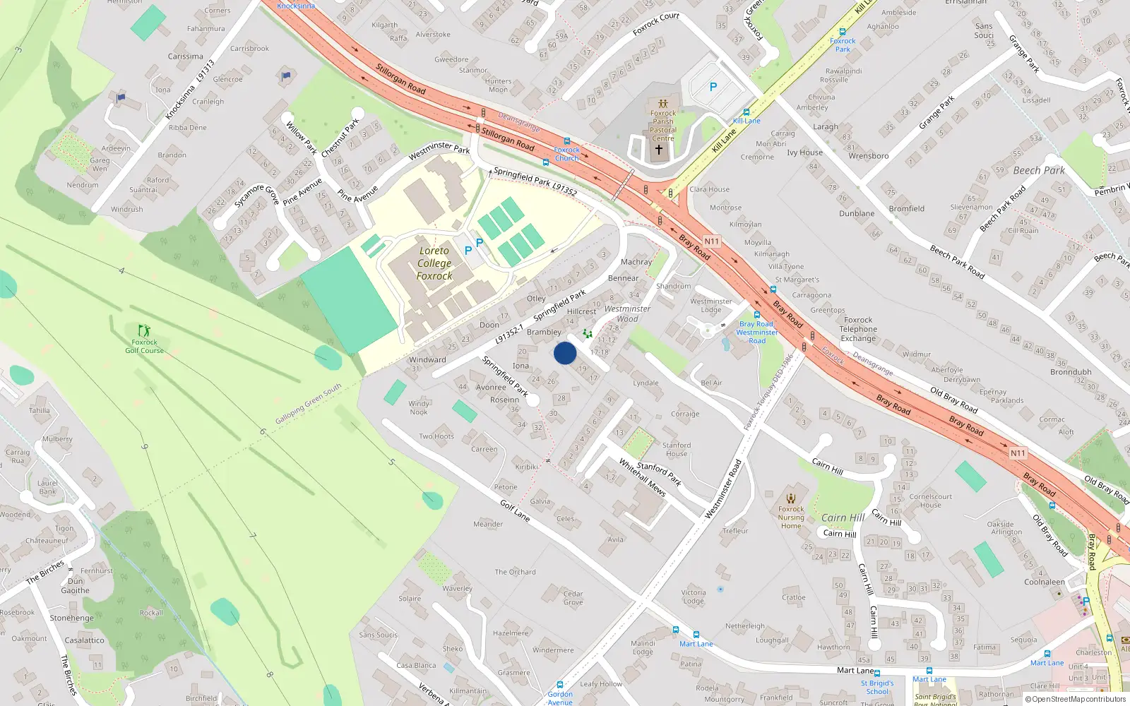 Overhead map showing the location of 22 Westminster Wood, Foxrock