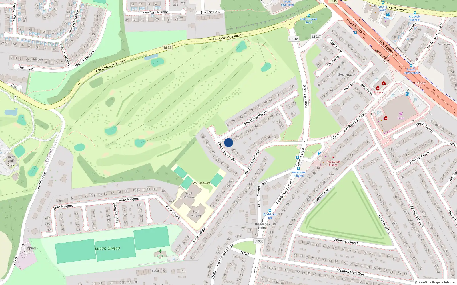 Overhead map showing the location of 22 Woodview Heights, Lucan