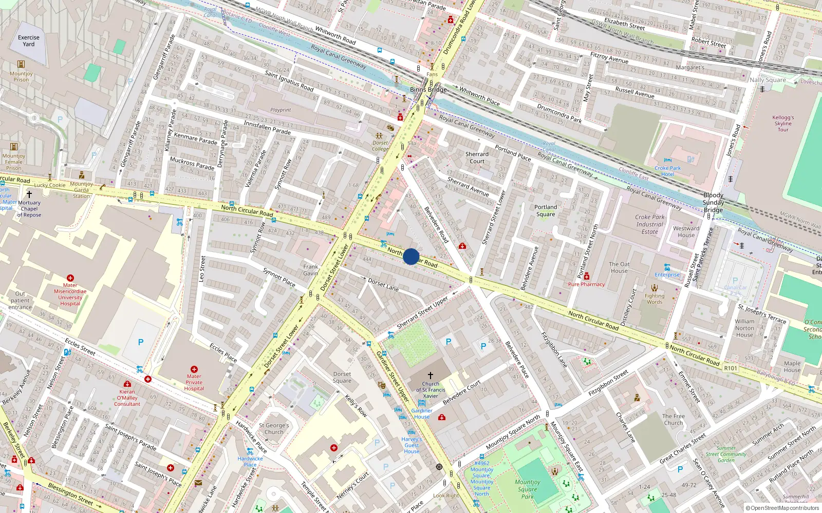 Overhead map showing the location of 223 North Circular Road, Dublin