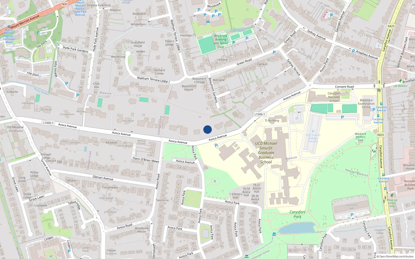 Overhead map showing the location of 23 Avoca Avenue, Blackrock