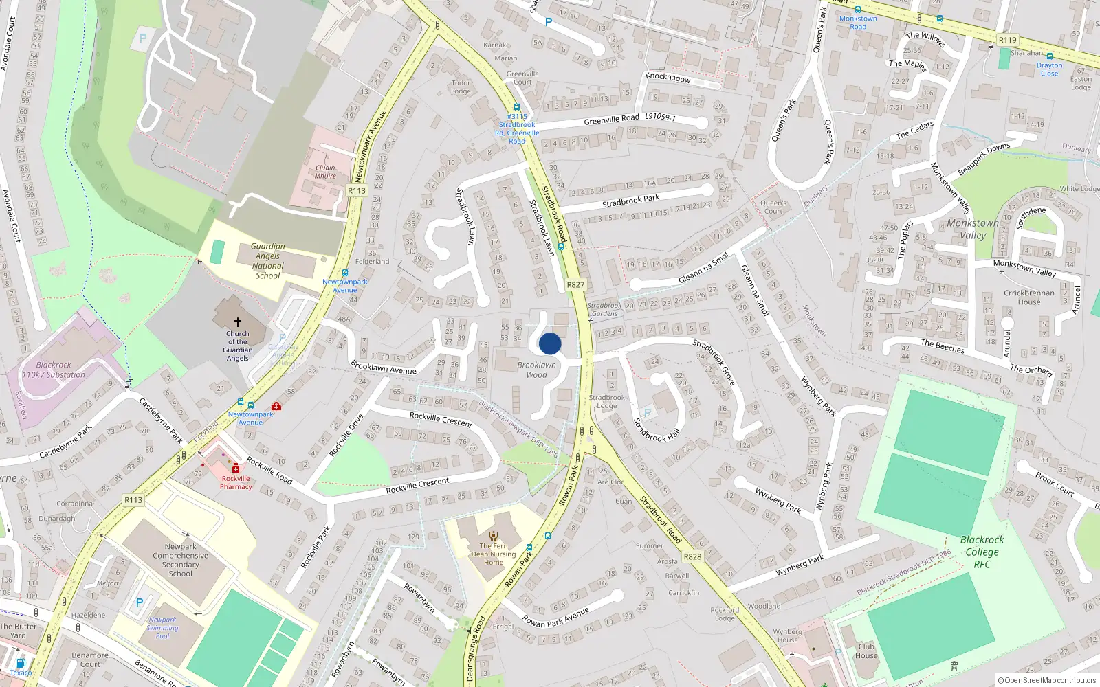 Overhead map showing the location of 23 Brooklawn Wood, Monkstown