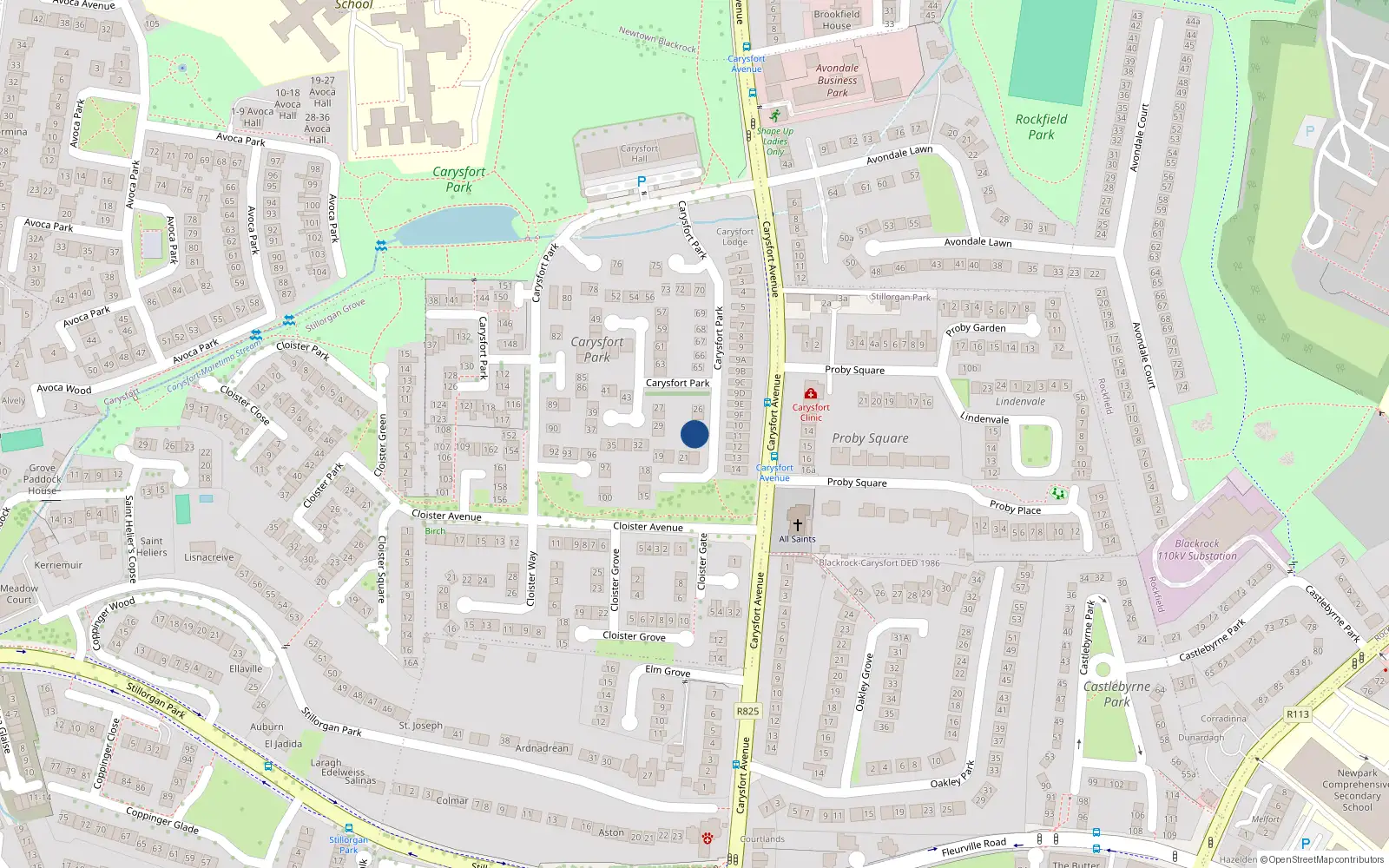 Overhead map showing the location of 23 Carysfort Park, Blackrock, Dublin