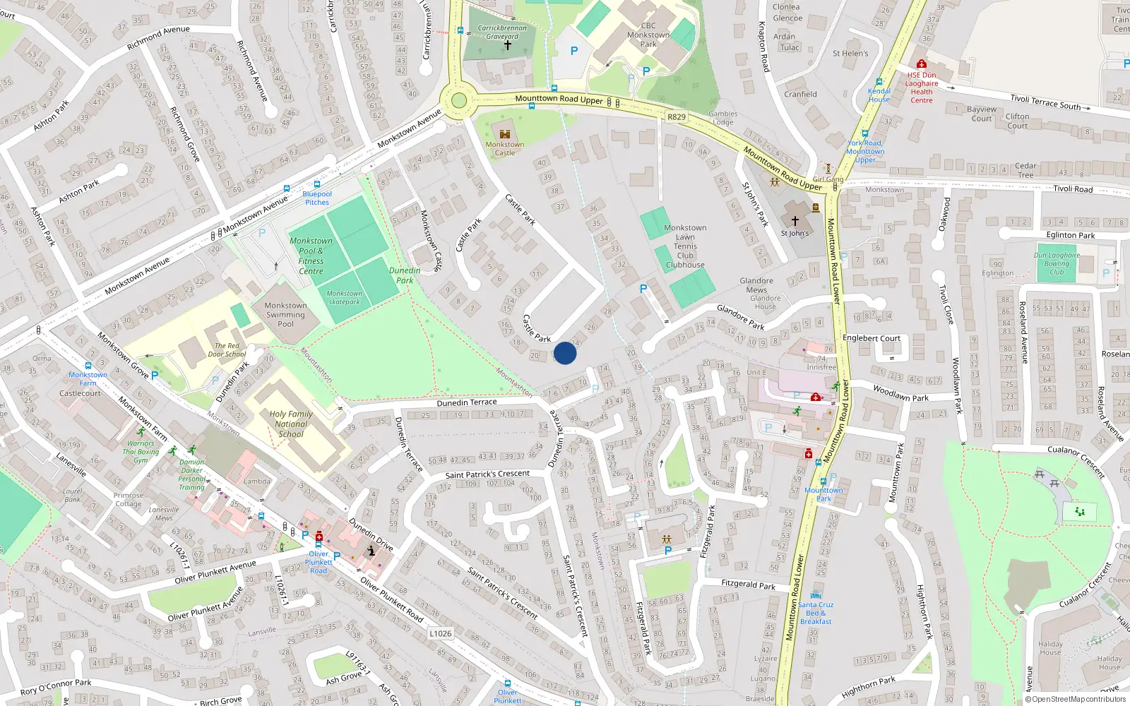 Overhead map showing the location of 23 Castle Park, Monkstown