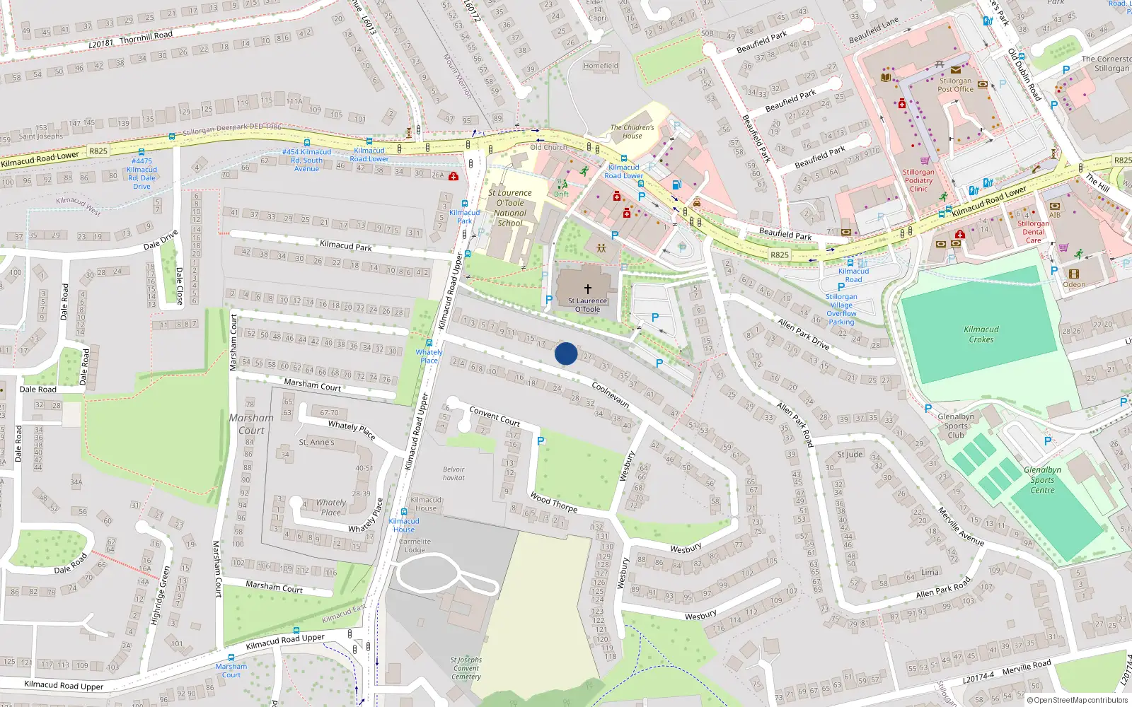 Overhead map showing the location of 23 Coolnevaun, Blackrock