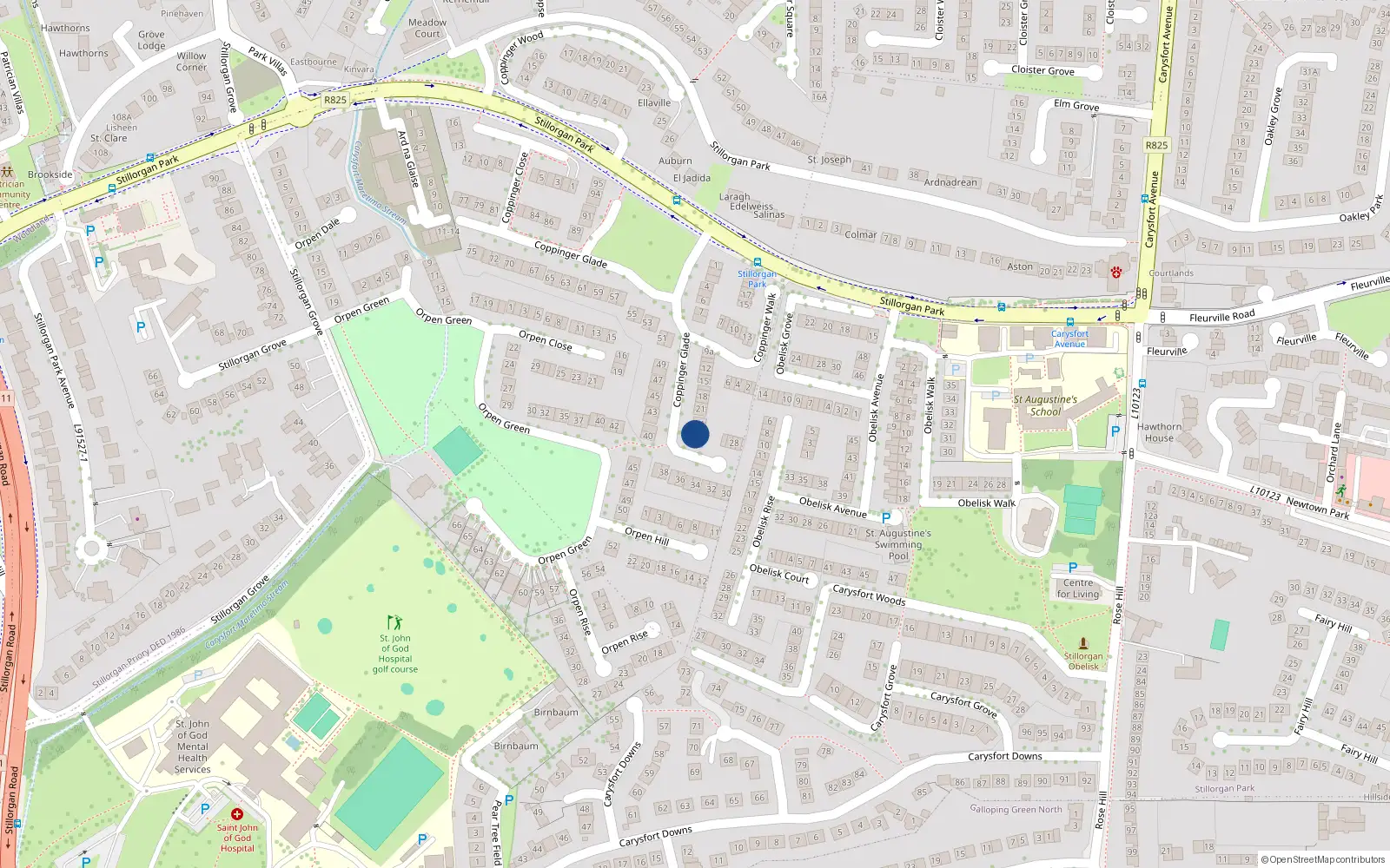 Overhead map showing the location of 23 Coppinger Glade, Blackrock