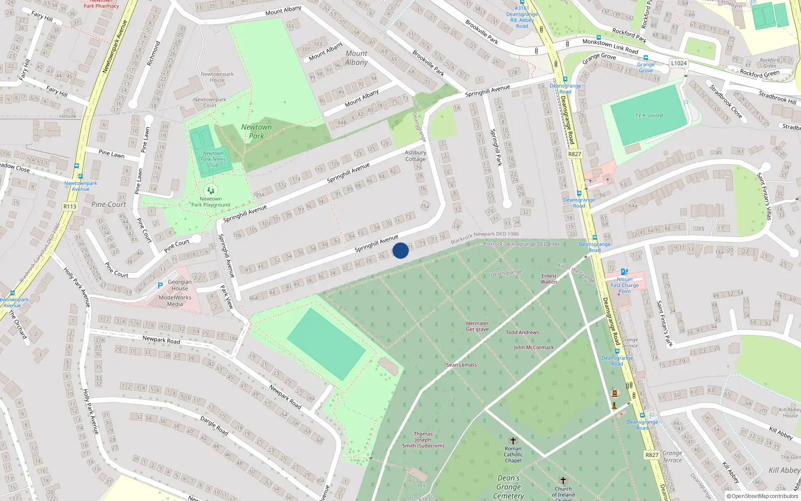 Overhead map showing the location of 23 Springhill Avenue, Blackrock