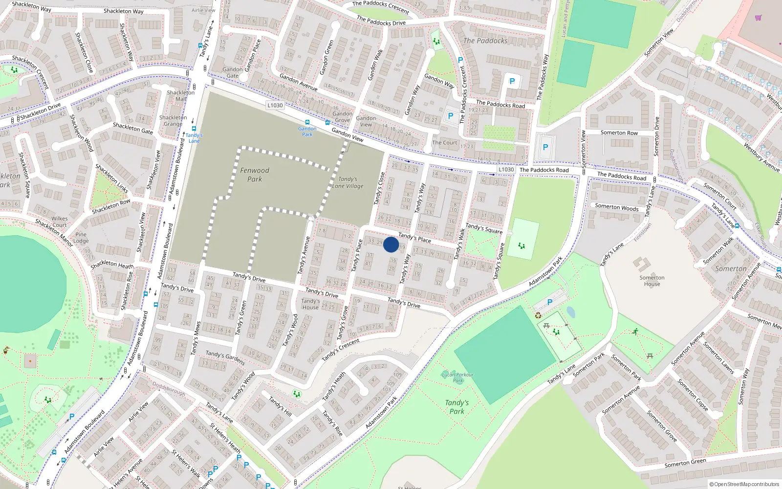 Overhead map showing the location of 23 Tandy's Place, Lucan