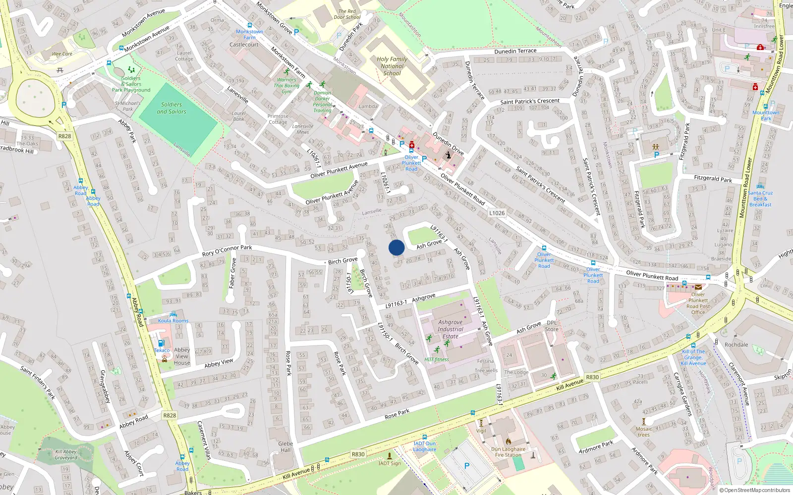 Overhead map showing the location of 24 Ash Grove, Kill Avenue, Dun Laoghaire