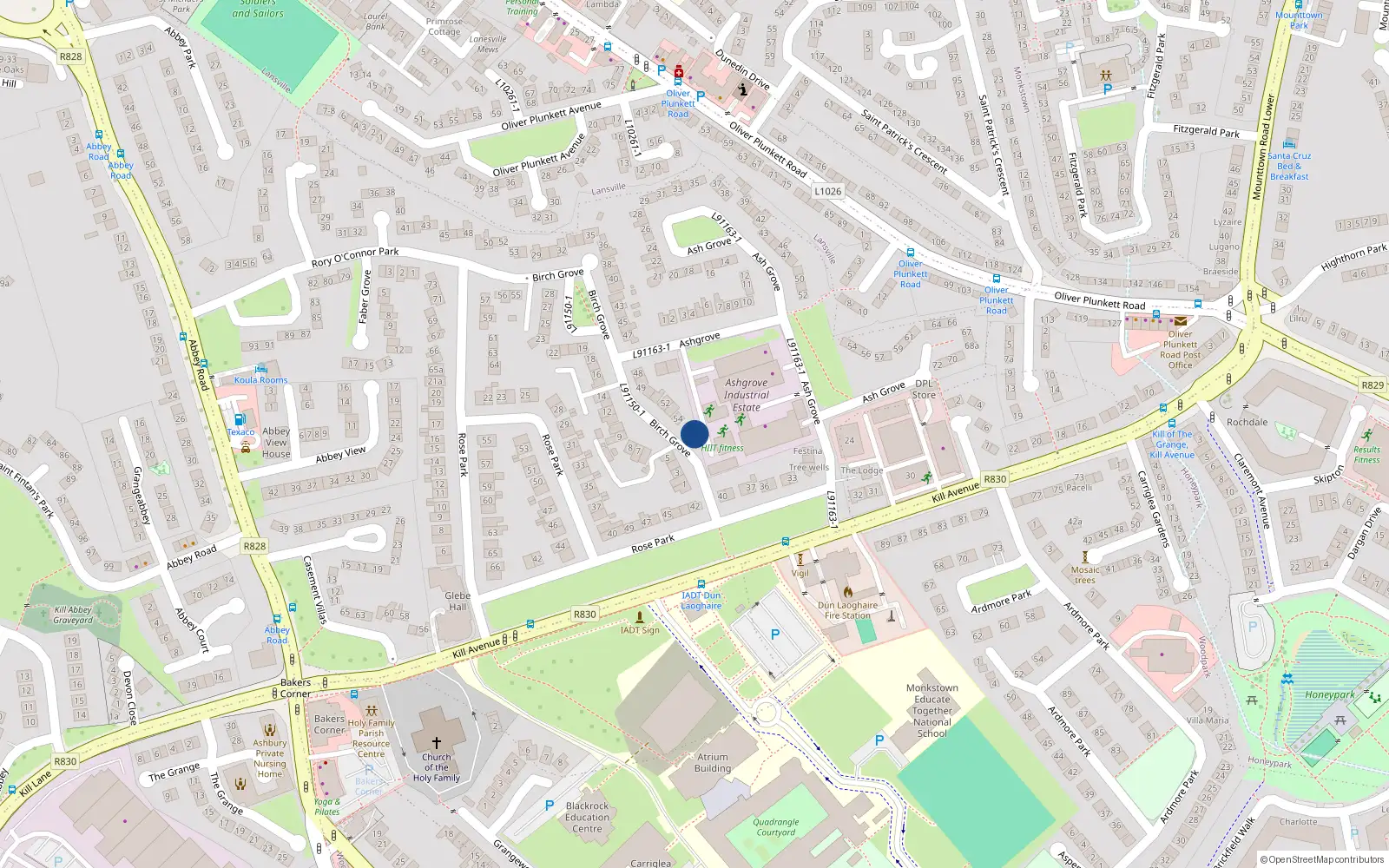 Overhead map showing the location of 24 Birch Grove, Dun Laoghaire