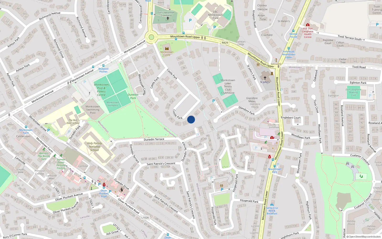 Overhead map showing the location of 24 Castle Park, Dublin