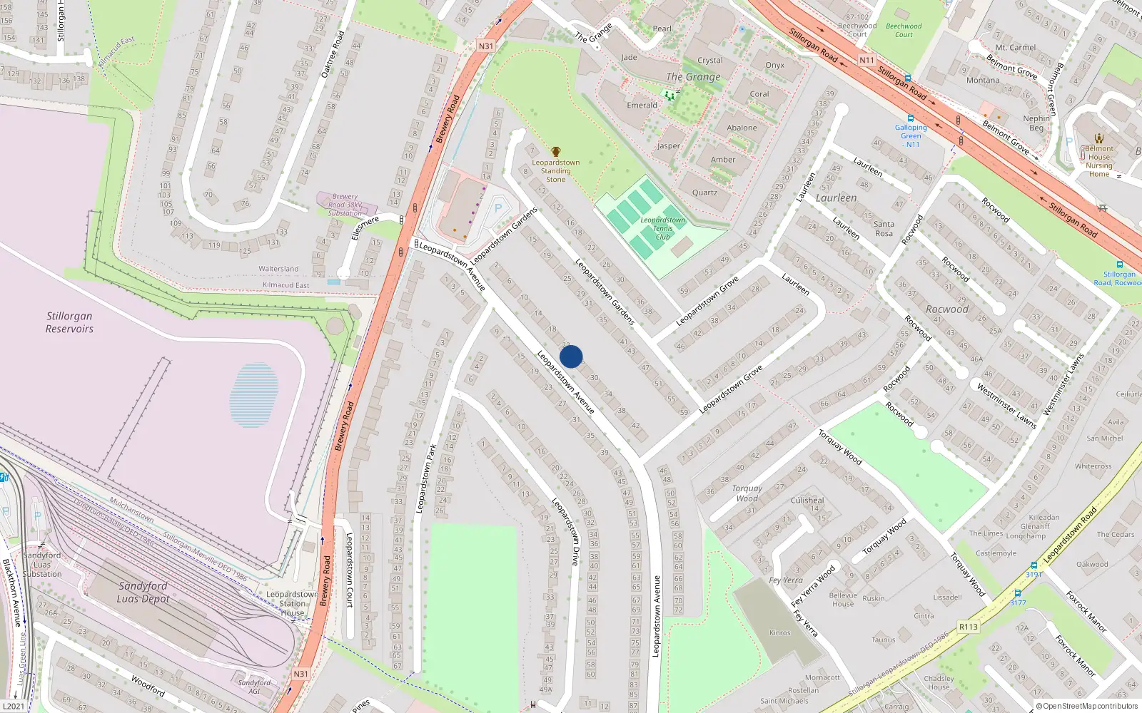 Overhead map showing the location of 24 Leopardstown Avenue, Blackrock, Dublin