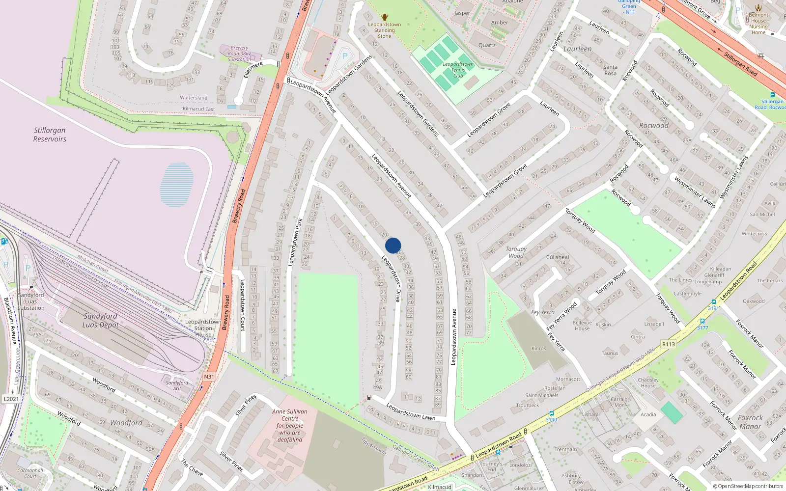 Overhead map showing the location of 24 Leopardstown Drive, Blackrock, Dublin