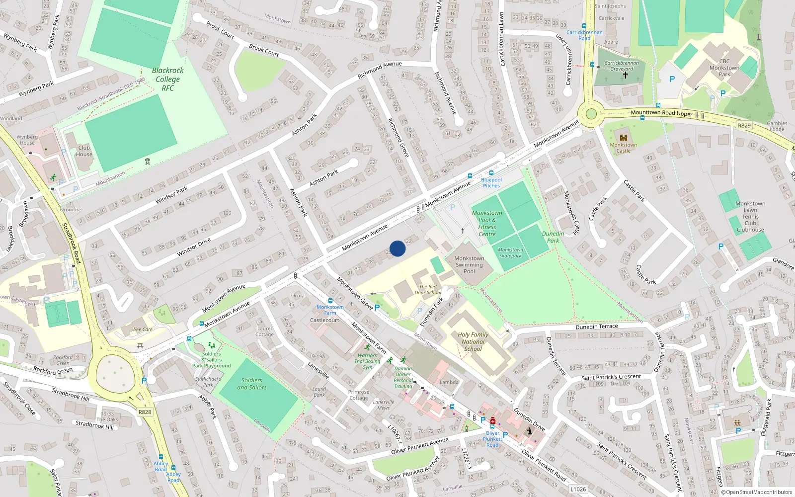 Overhead map showing the location of 24 Monkstown Avenue, Monkstown