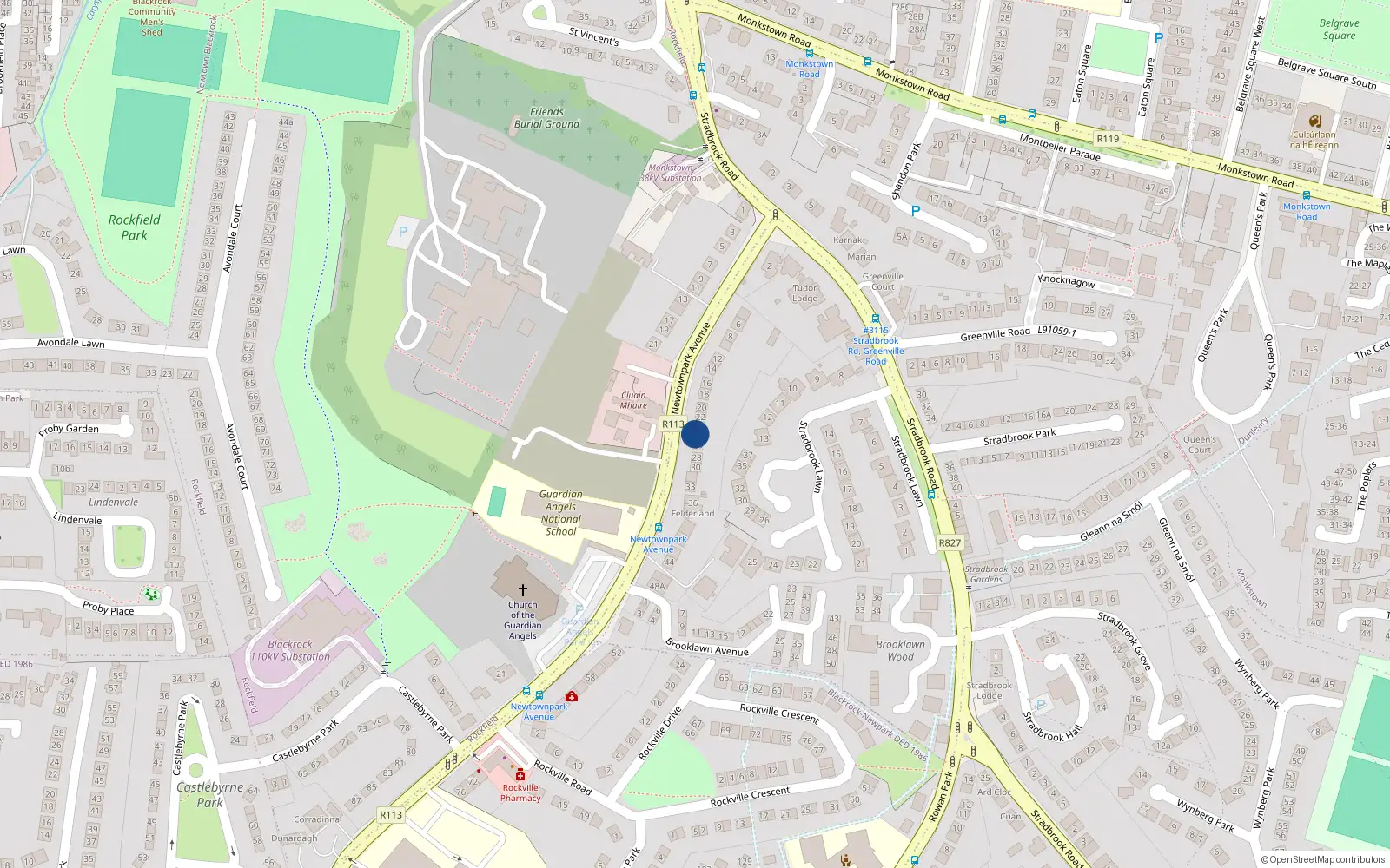 Overhead map showing the location of 24 Newtownpark Avenue, Blackrock