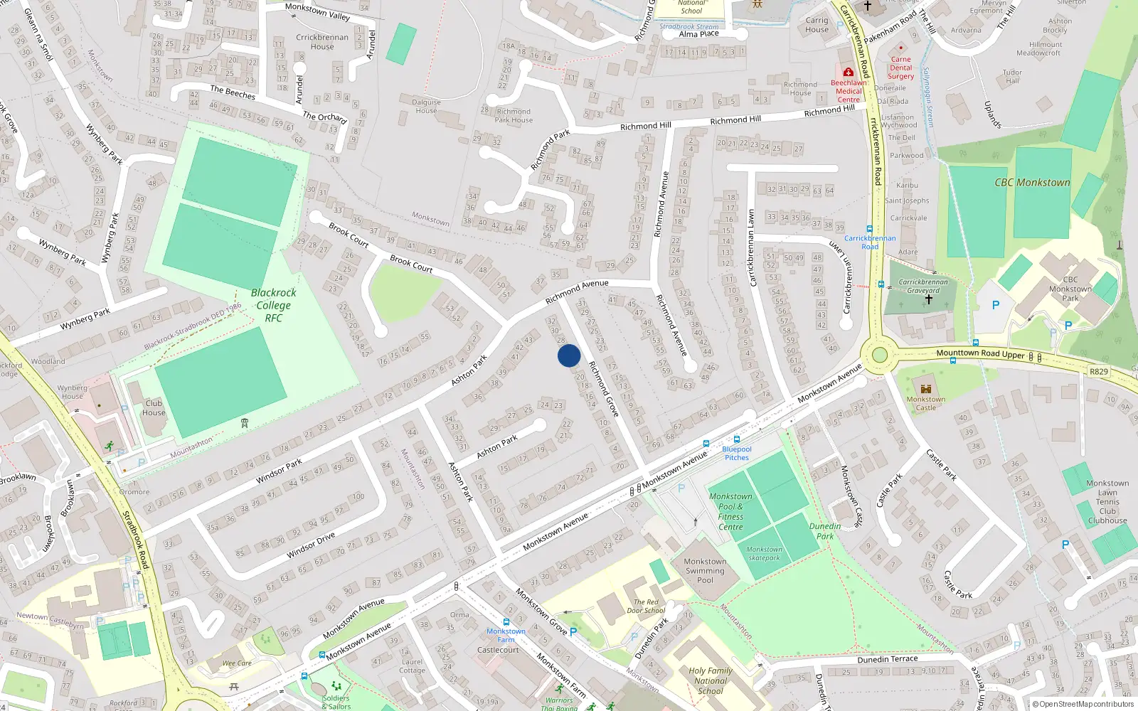 Overhead map showing the location of 24 Richmond Grove, Monkstown