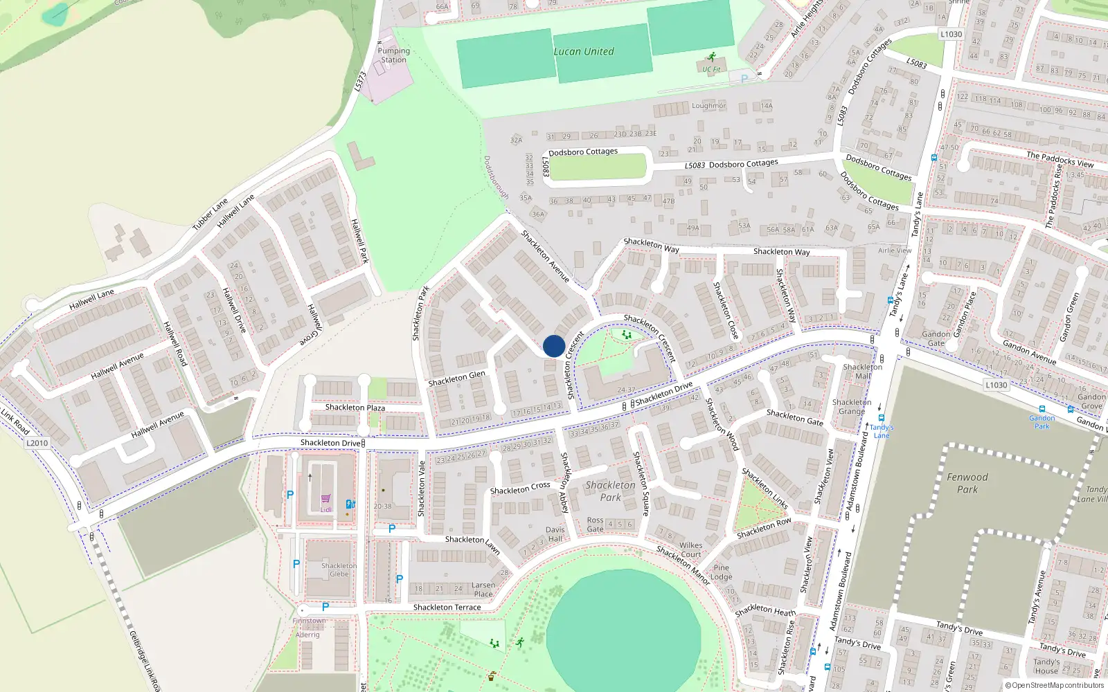 Overhead map showing the location of 24 Shackleton Crescent, Lucan