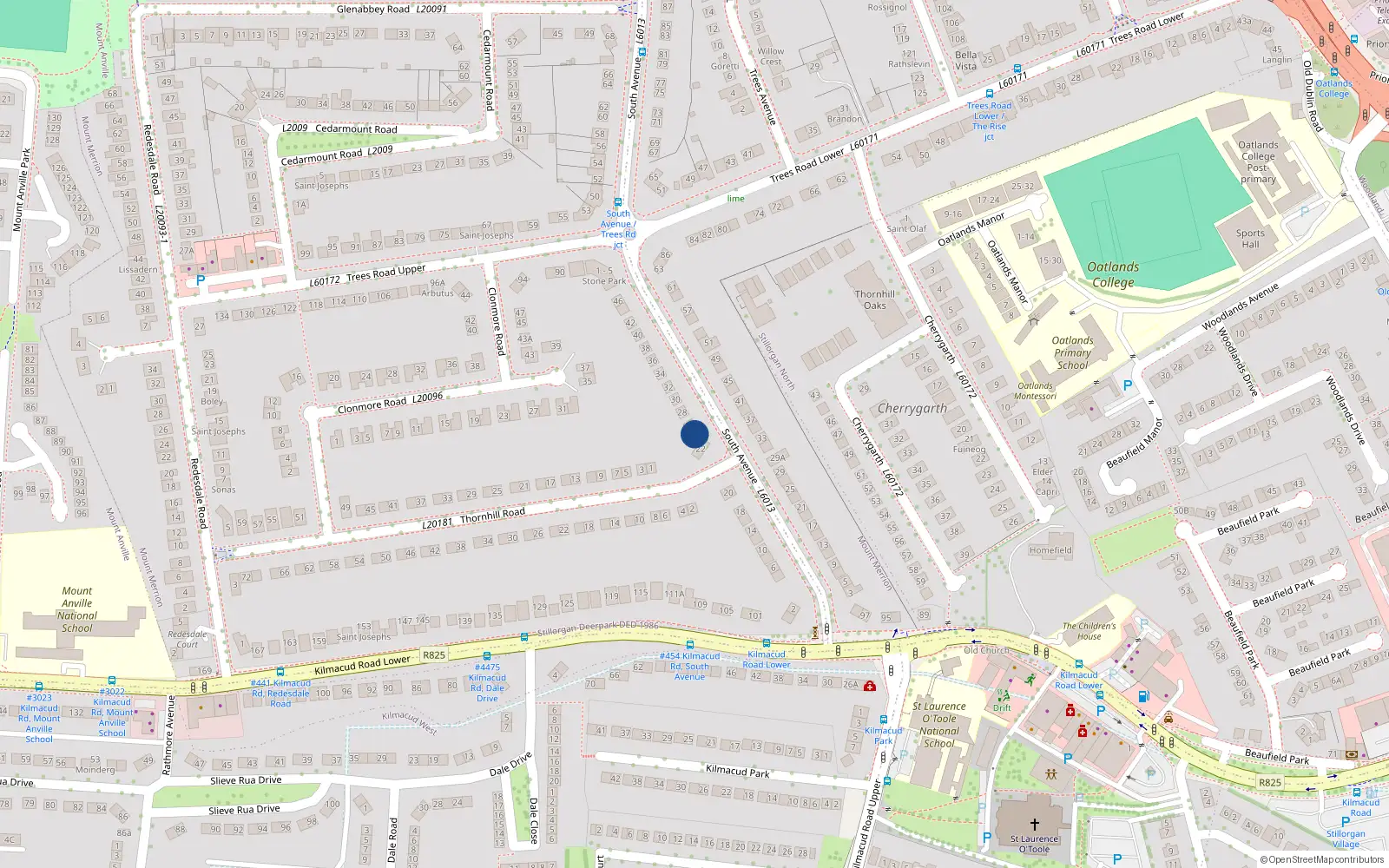 Overhead map showing the location of 24 South Avenue, Mount Merrion, Dublin