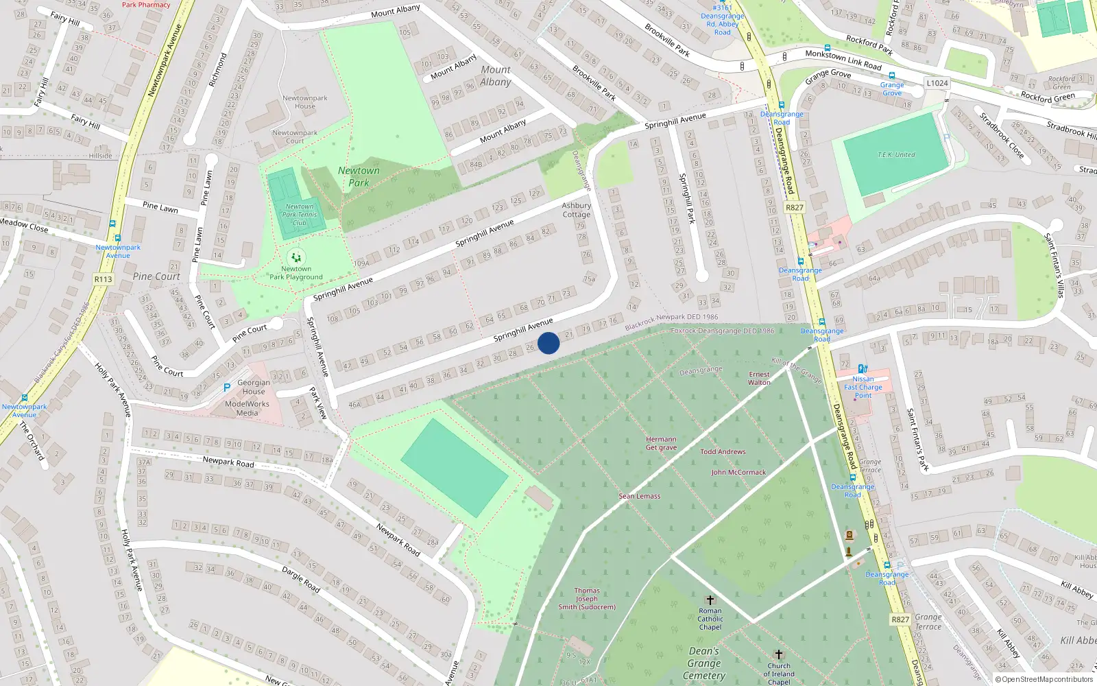 Overhead map showing the location of 24 Springhill Avenue, Blackrock