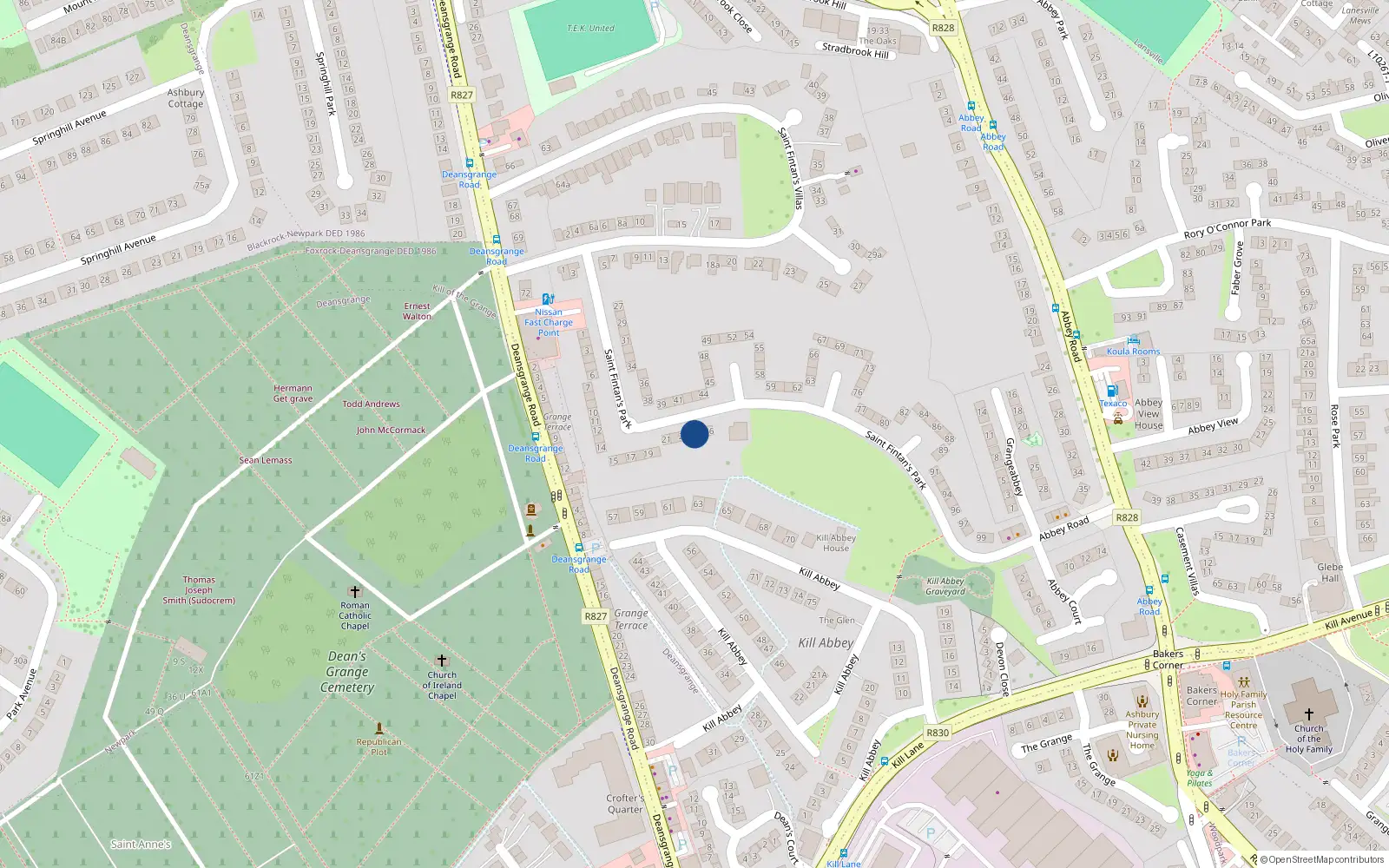 Overhead map showing the location of 24 St Fintans Park, Deans Grange, Blackrock
