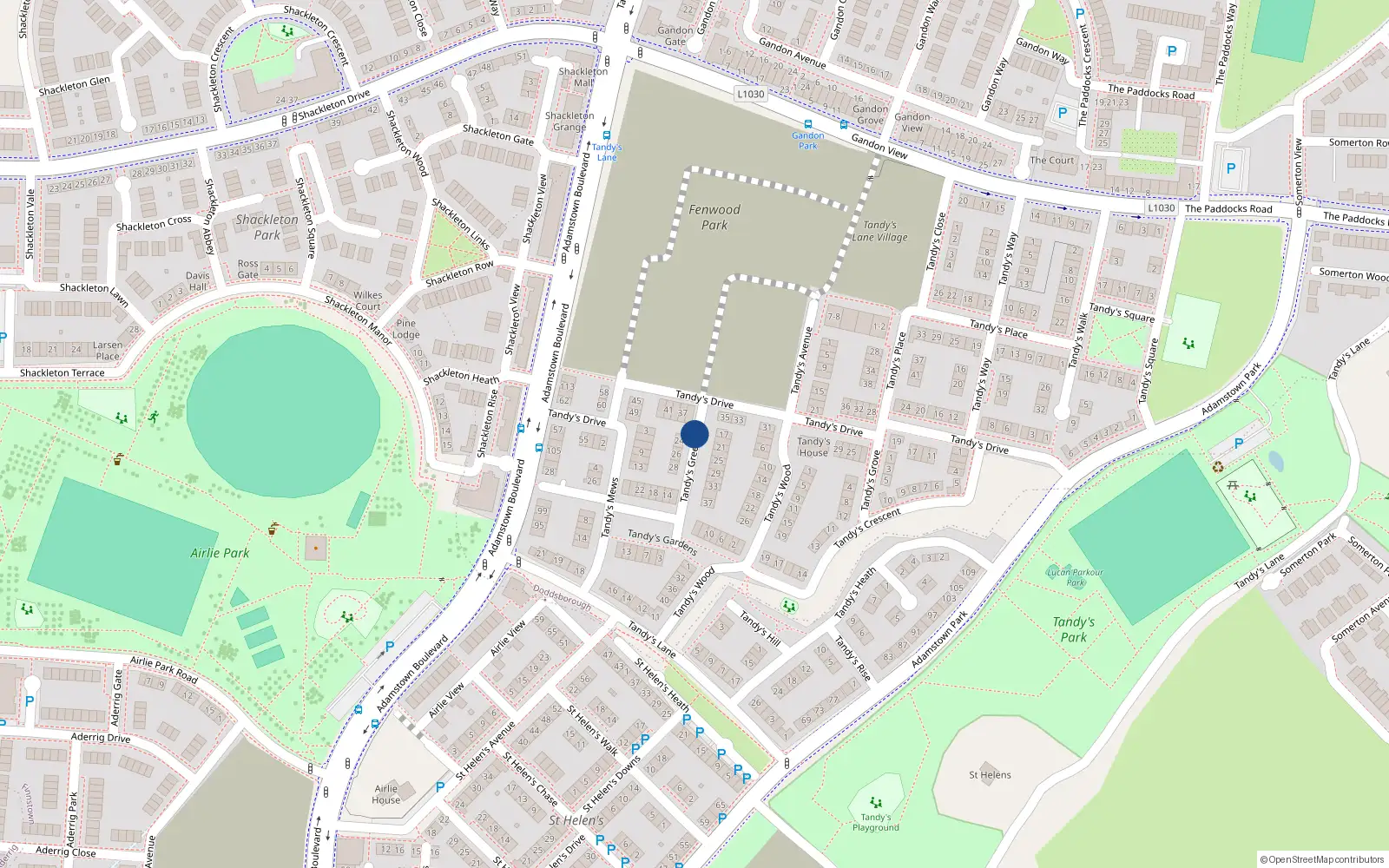 Overhead map showing the location of 24 Tandy's Green, Lucan