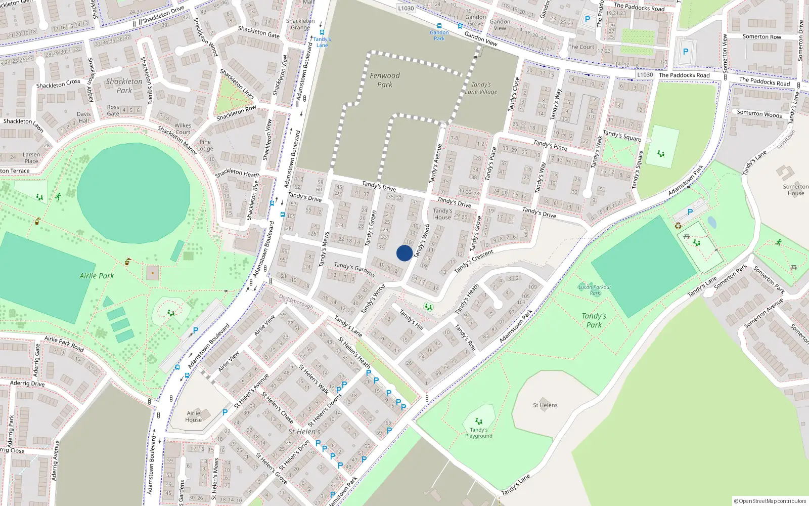 Overhead map showing the location of 24 Tandy's Wood, Adamstown, Lucan