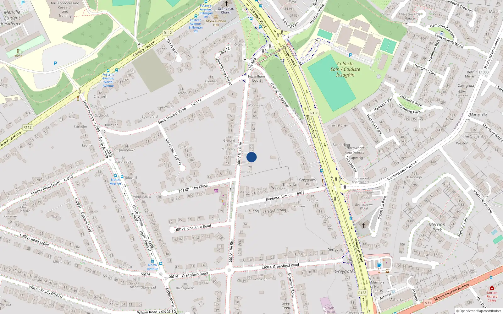 Overhead map showing the location of 24 The Rise, Blackrock