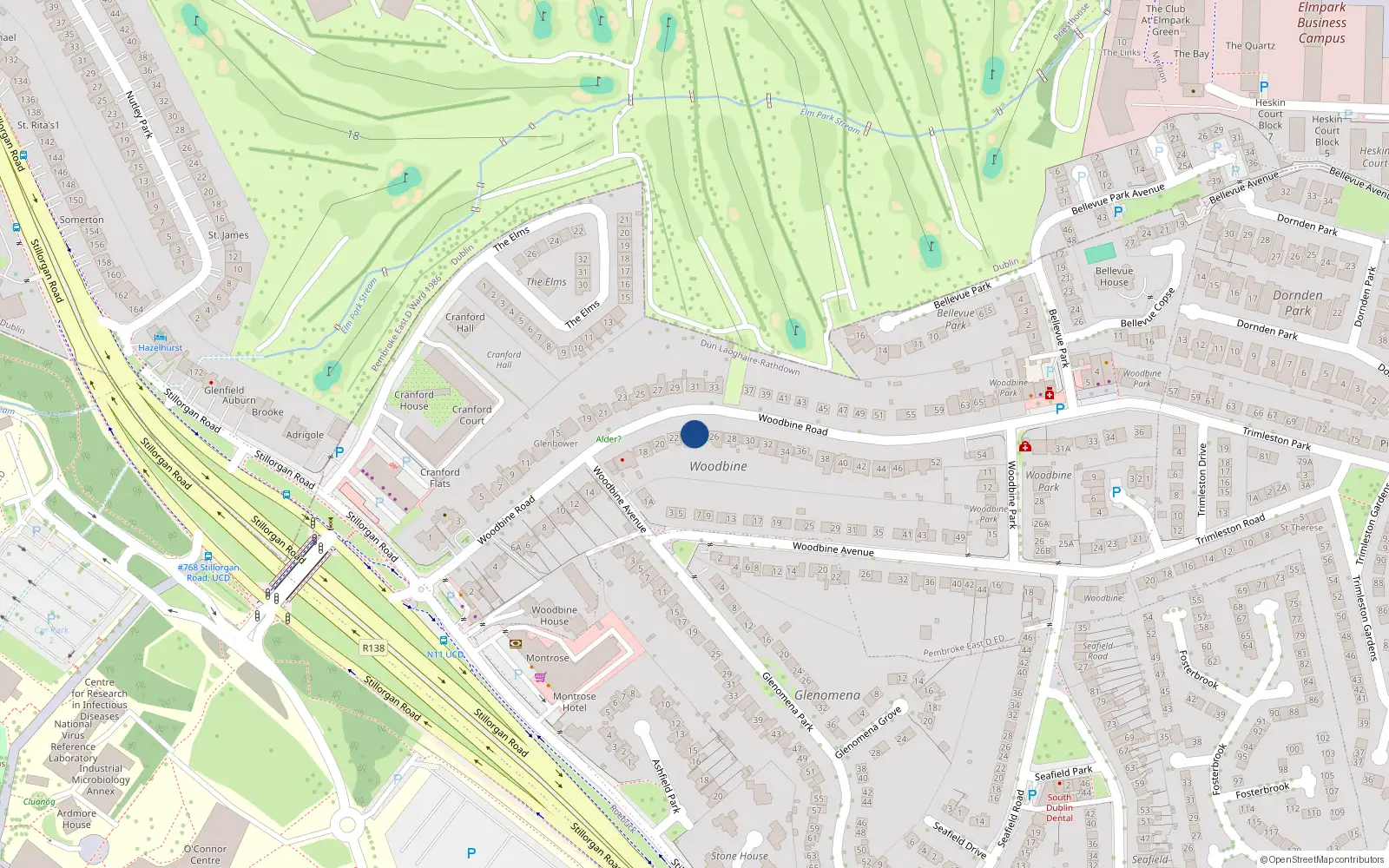 Overhead map showing the location of 24 Woodbine Road, Blackrock