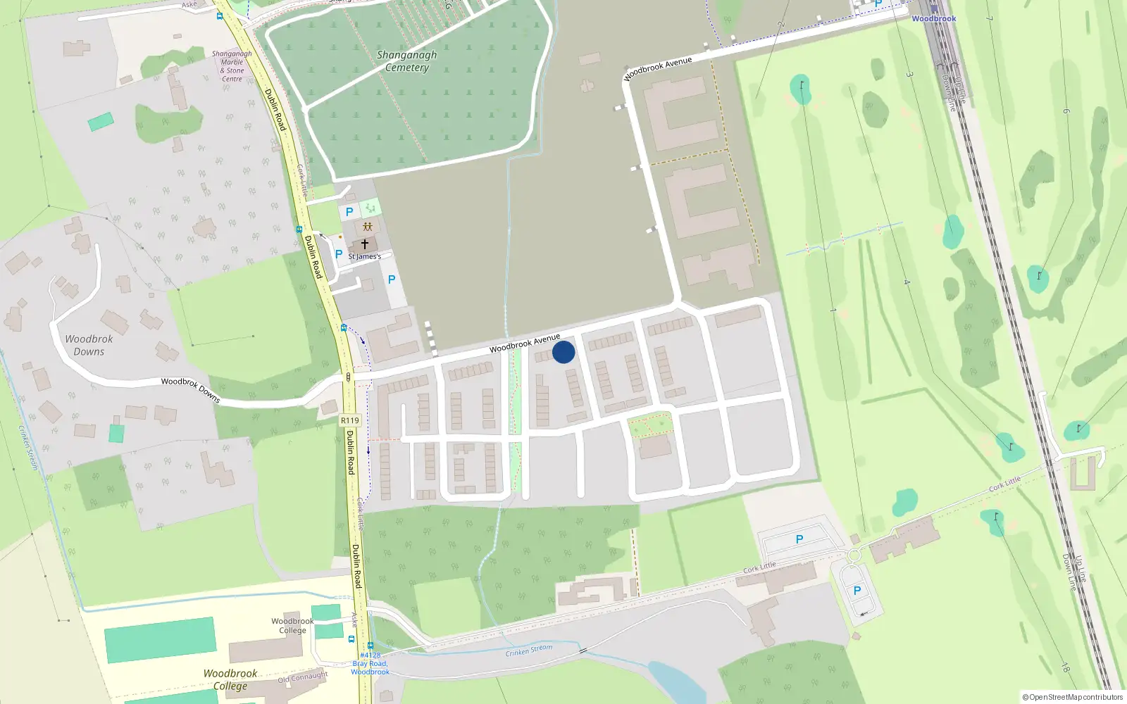 Overhead map showing the location of 24 Woodbrook, Shankill