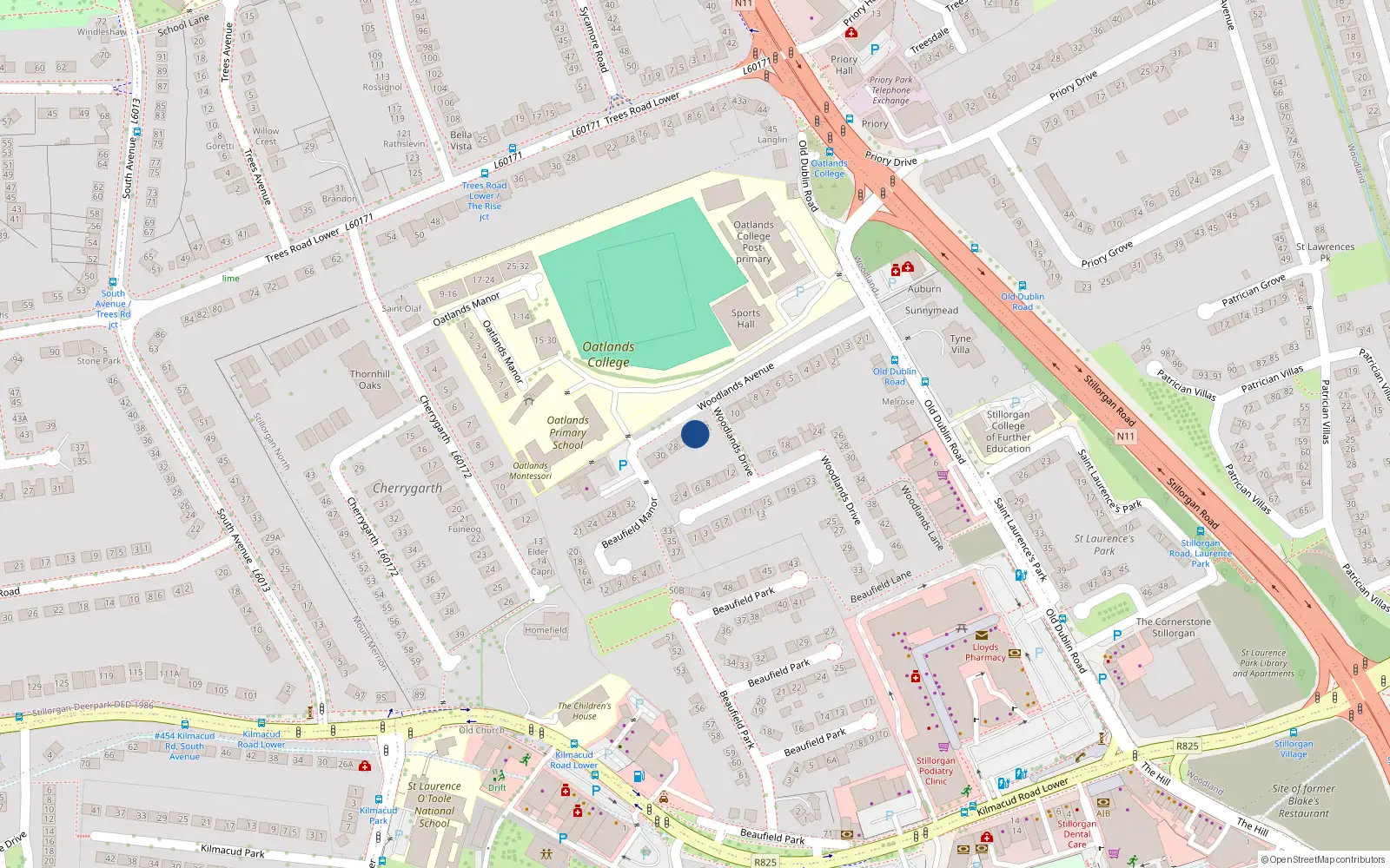 Overhead map showing the location of 24 Woodlands Avenue, Dublin