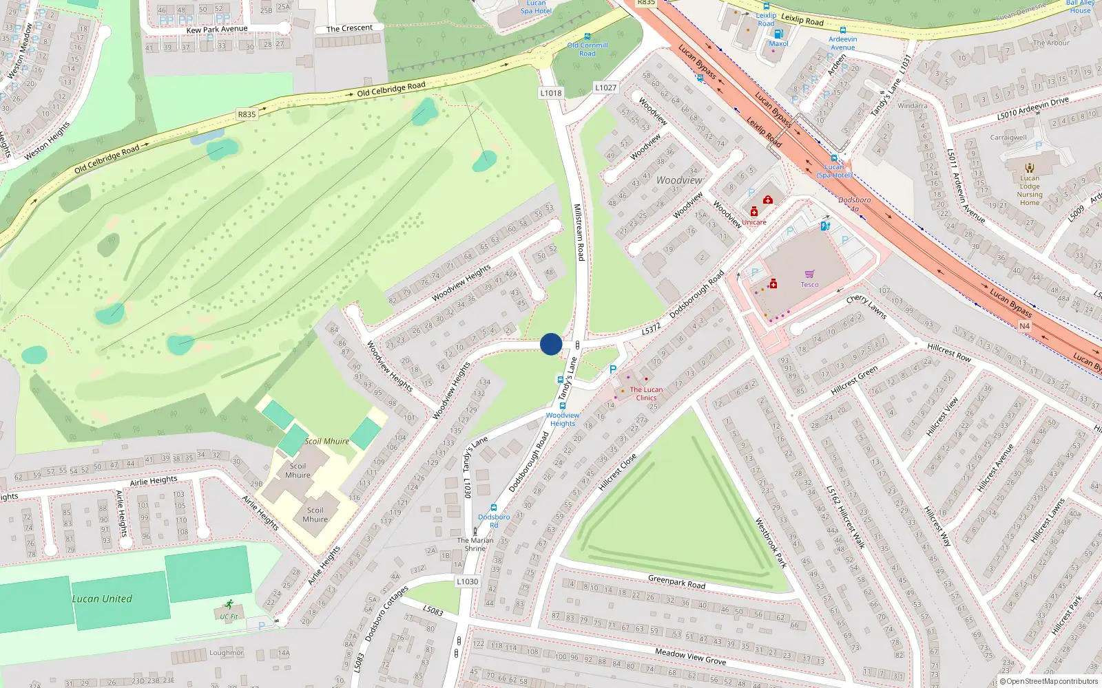 Overhead map showing the location of 24 Woodview Heights, Lucan