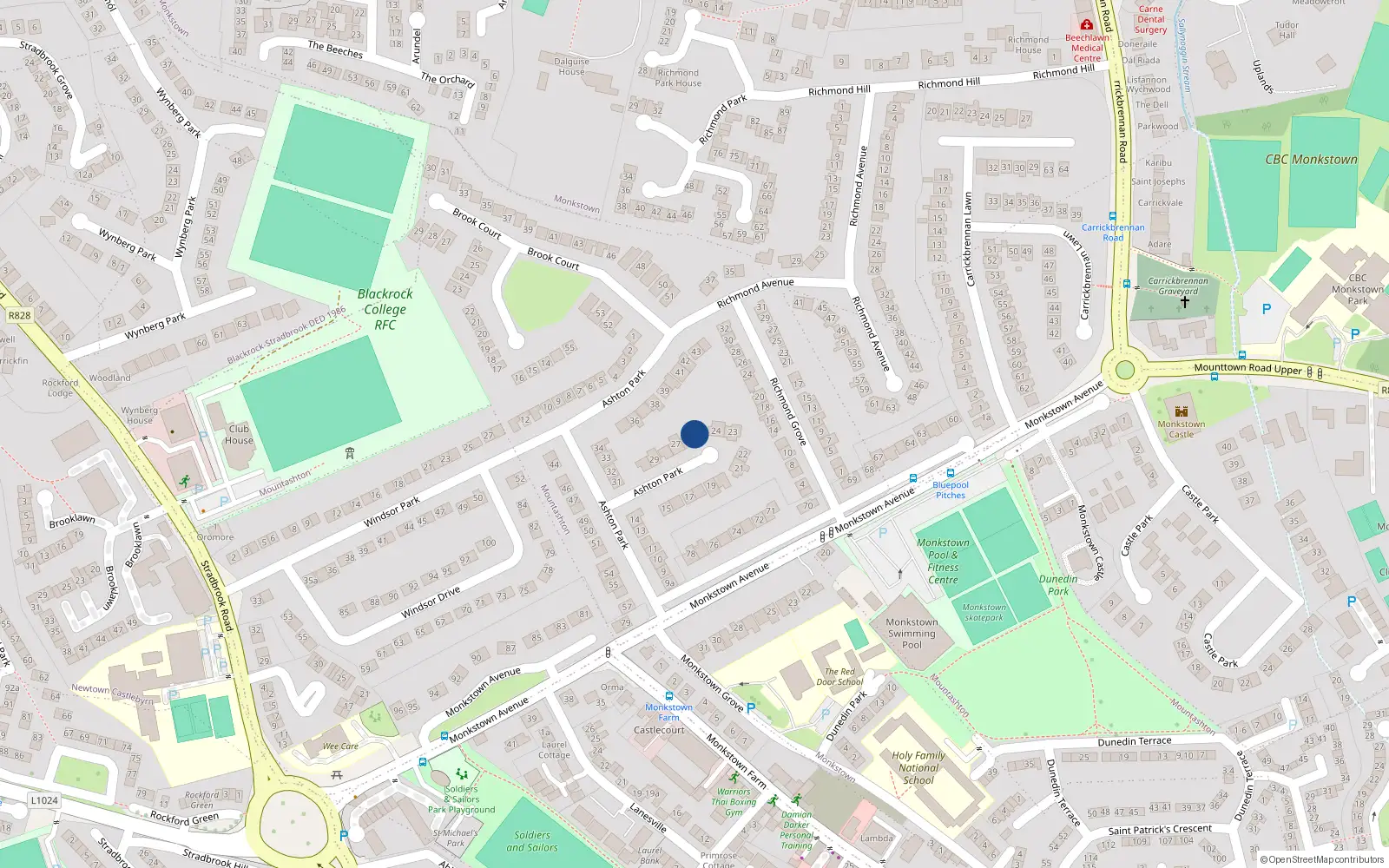 Overhead map showing the location of 25 Ashton Park, Monkstown