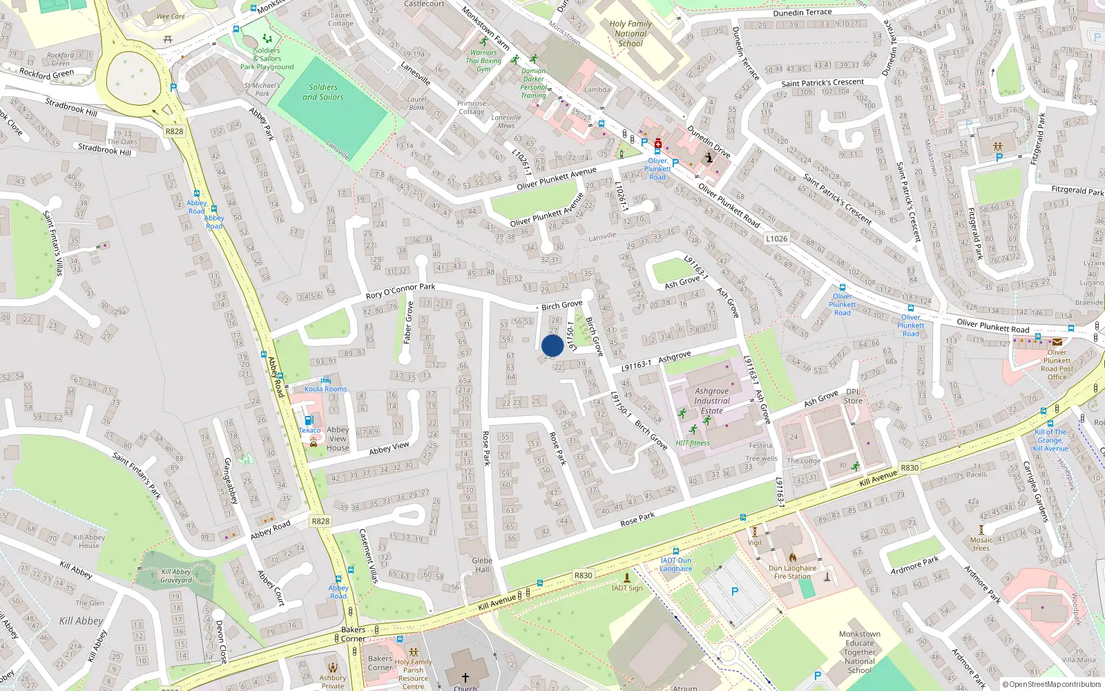 Overhead map showing the location of 25 Birch Grove, Kill Avenue, Dun Laoghaire