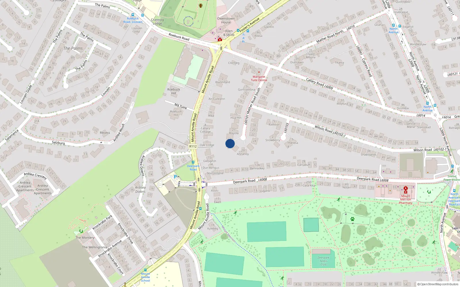Overhead map showing the location of 25 Mather Road South, Blackrock