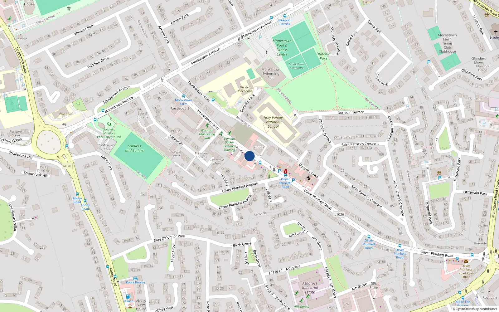 Overhead map showing the location of 25 Monkstown Farm, Co Dublin