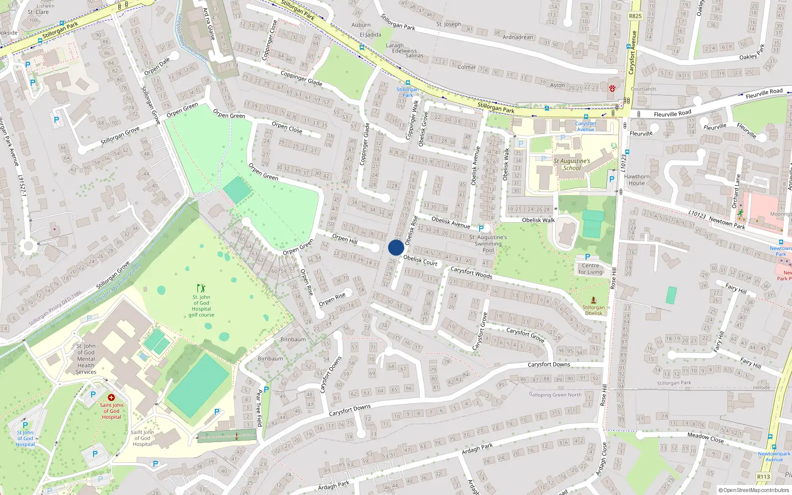Overhead map showing the location of 25 Obelisk Rise, Stillorgan Park