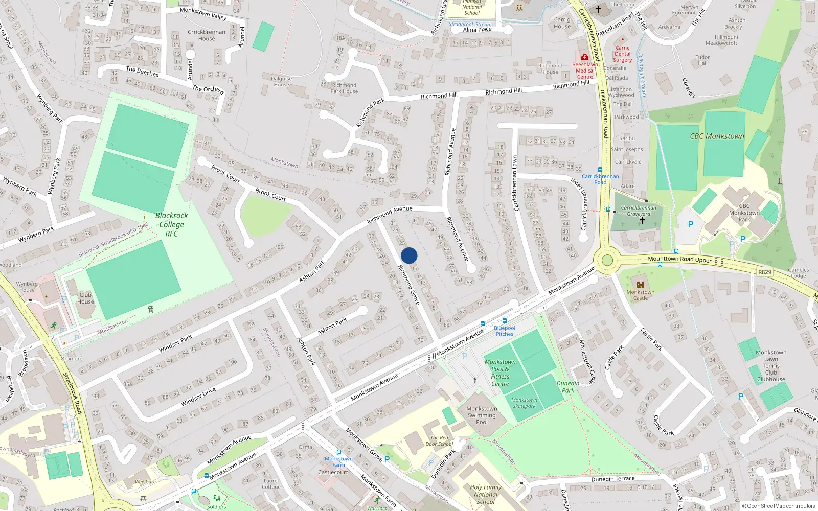 Overhead map showing the location of 25 Richmond Grove, Monkstown