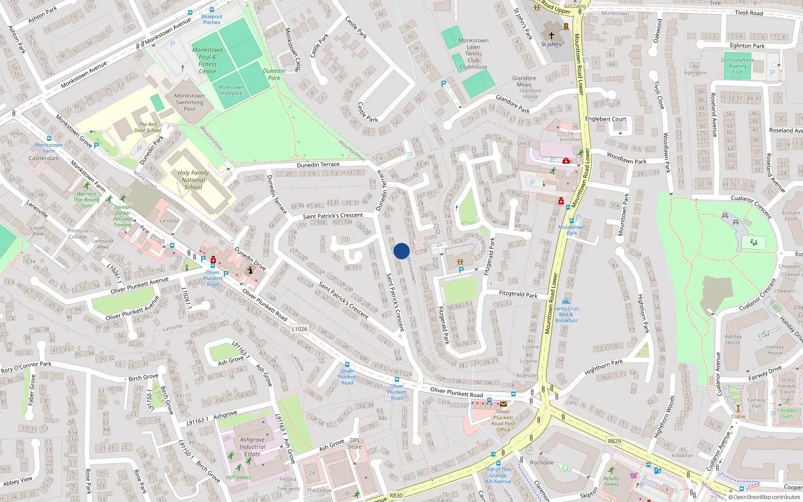 Overhead map showing the location of 25 St Patricks Crescent, Monkstown Farm, Dun Laoghaire