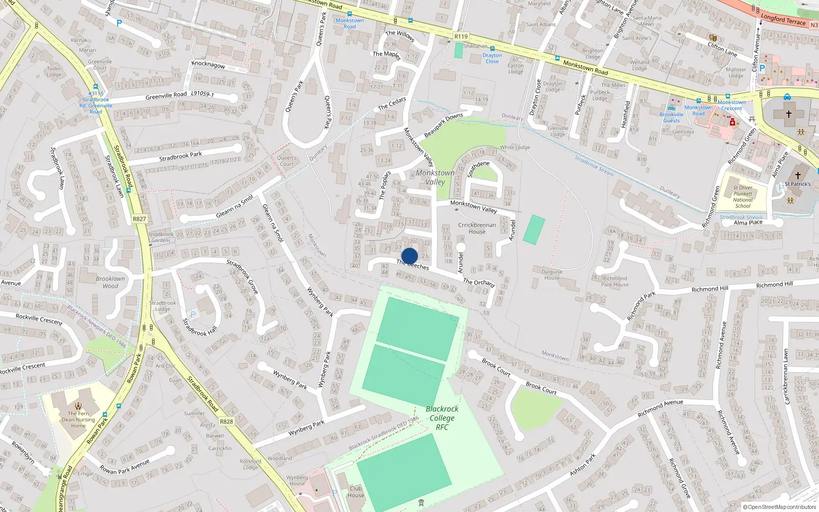 Overhead map showing the location of 25 the Beeches, Monkstown Valley, Monkstown